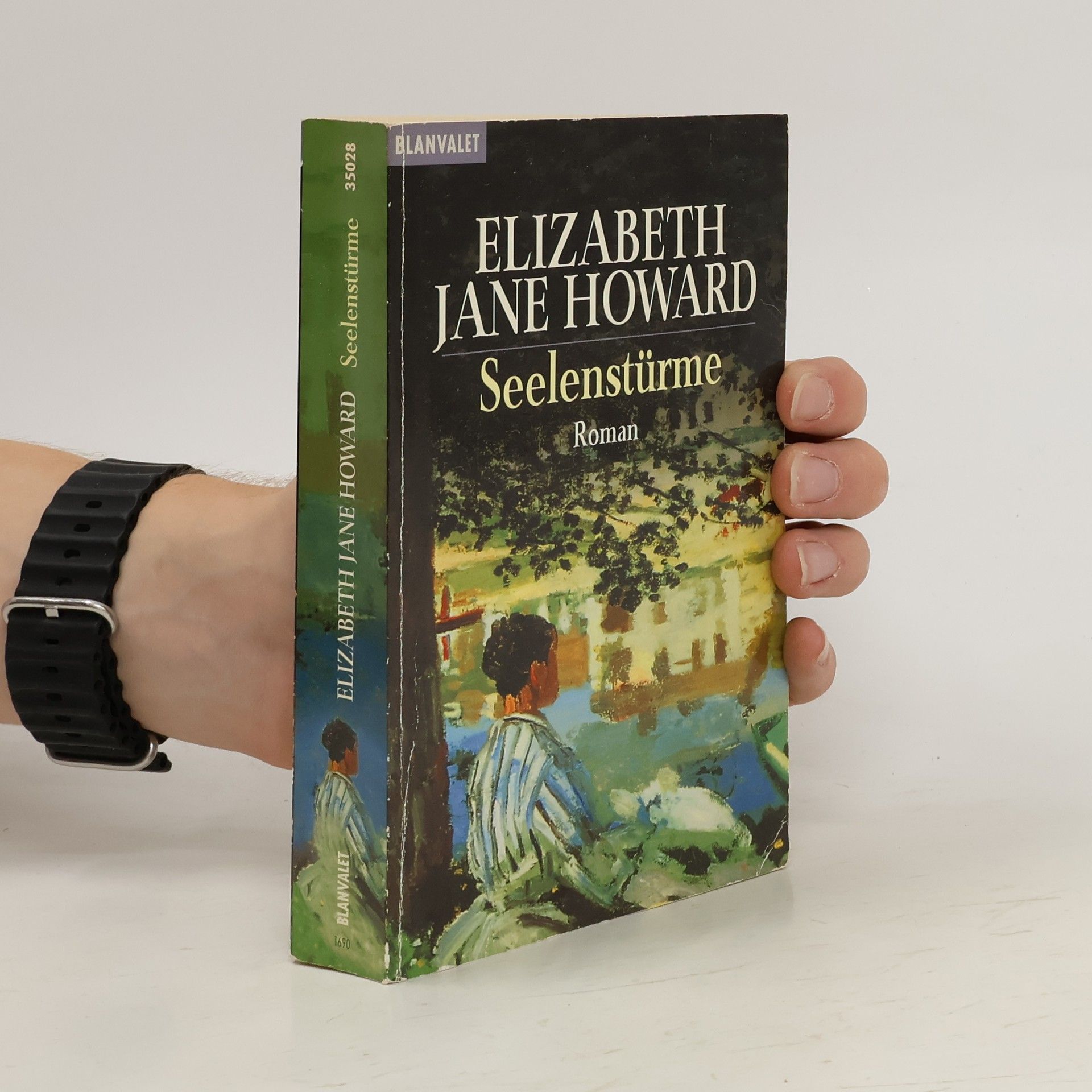 Elizabeth Jane Howard Seelenstürme