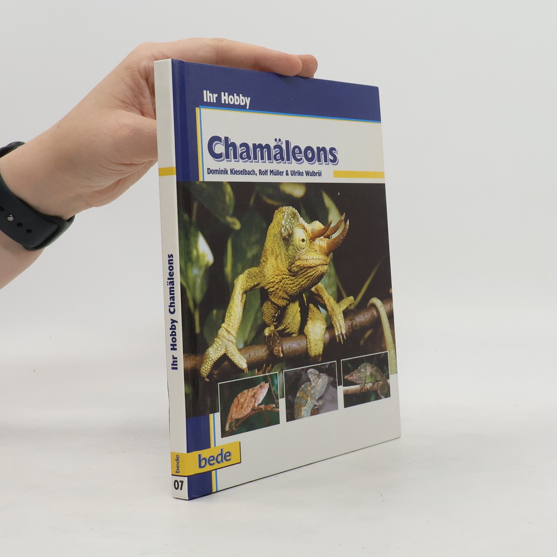 Dominik Kieselbach Chamäleons