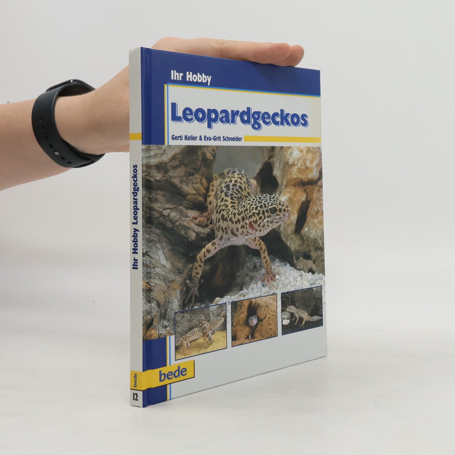 Gerti Keller Leopardgeckos