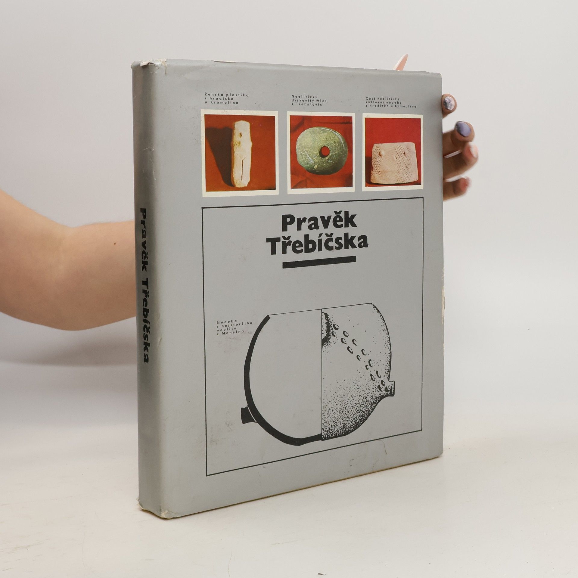 Autores varios Pravěk Třebíčska