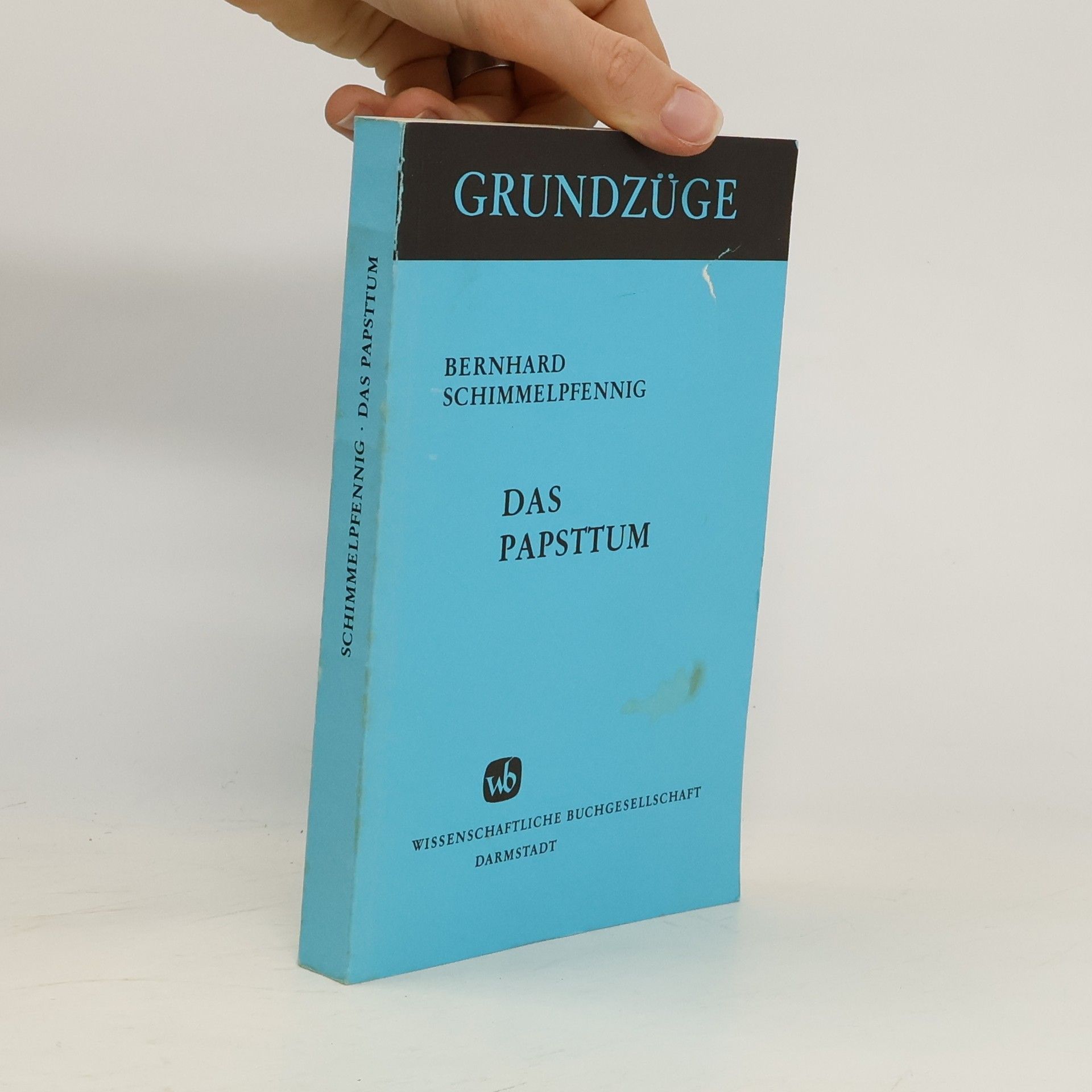 Bernhard Schimmelpfennig Das Papsttum