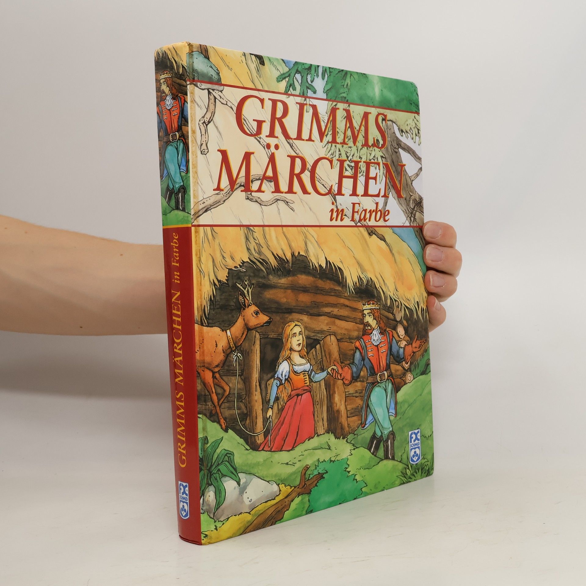 bratři Grimmové Grimms Märchen in Farbe