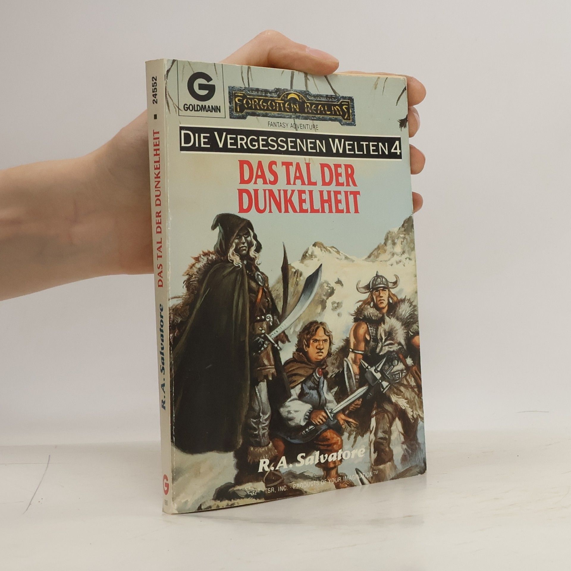 Robert Anthony Salvatore Das Tal der Dunkelheit. Die vergessenen Welten