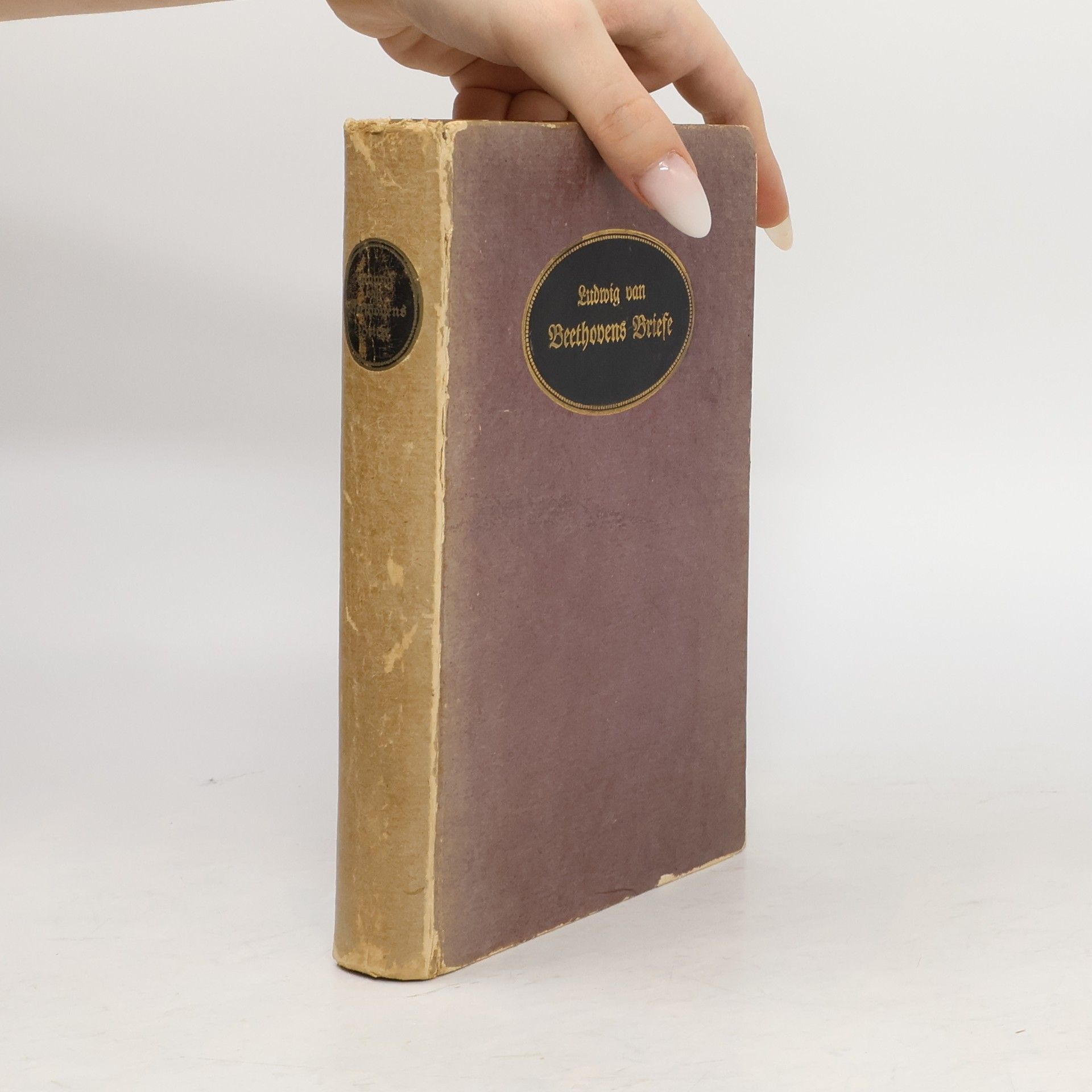 Autorenkollektiv Ludwig van Beethovens Briefe
