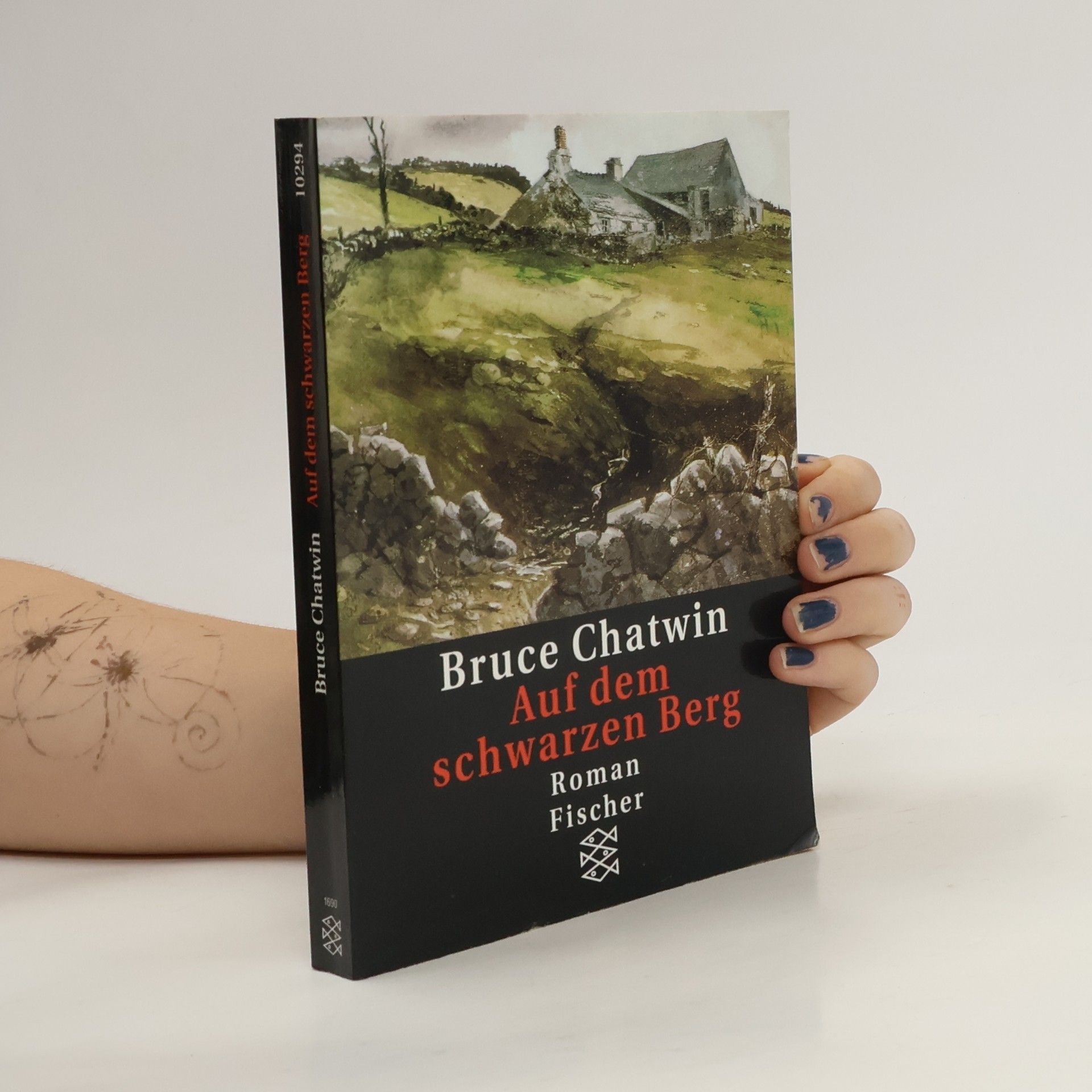 Bruce Chatwin Auf dem schwarzen Berg