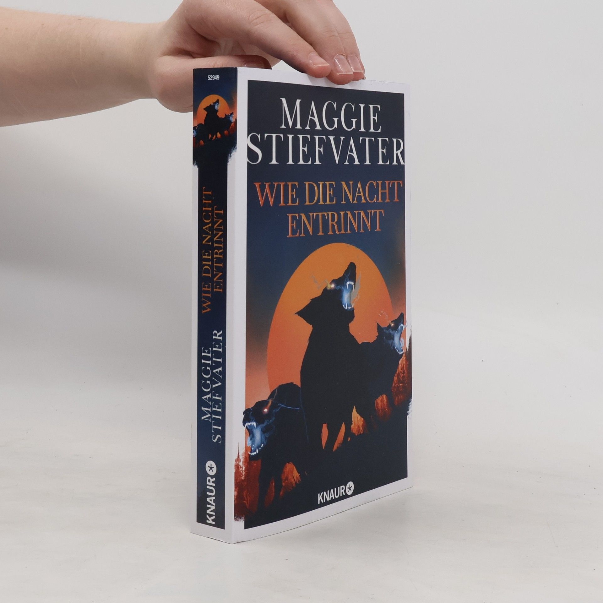 Maggie Stiefvater Wie die Nacht entrinnt