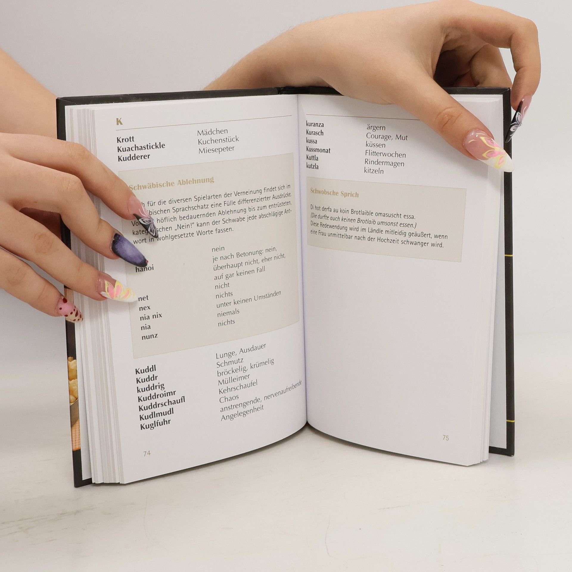 Autores varios Sprechen Sie Schwäbisch?