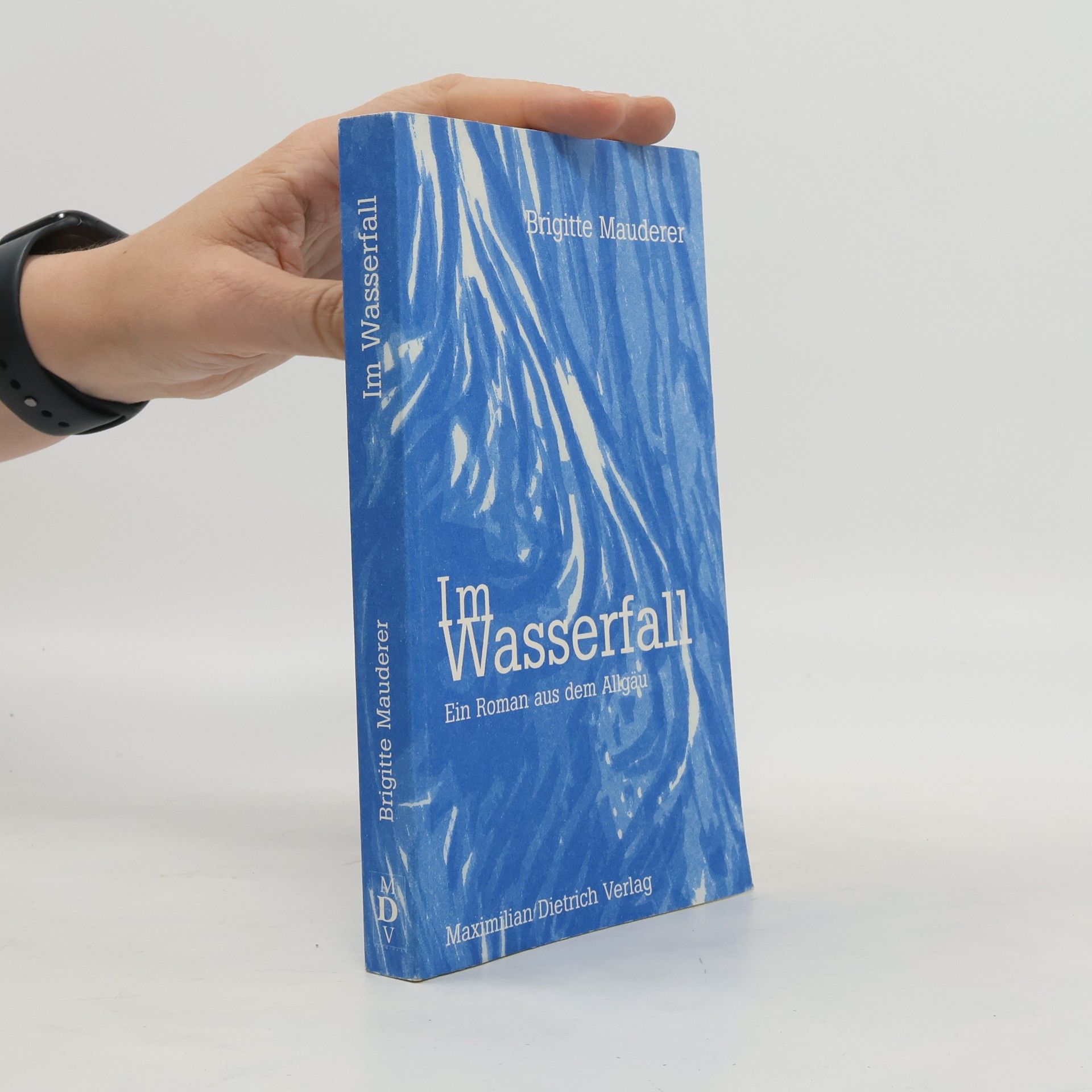 Brigitte Mauderer Im Wasserfall