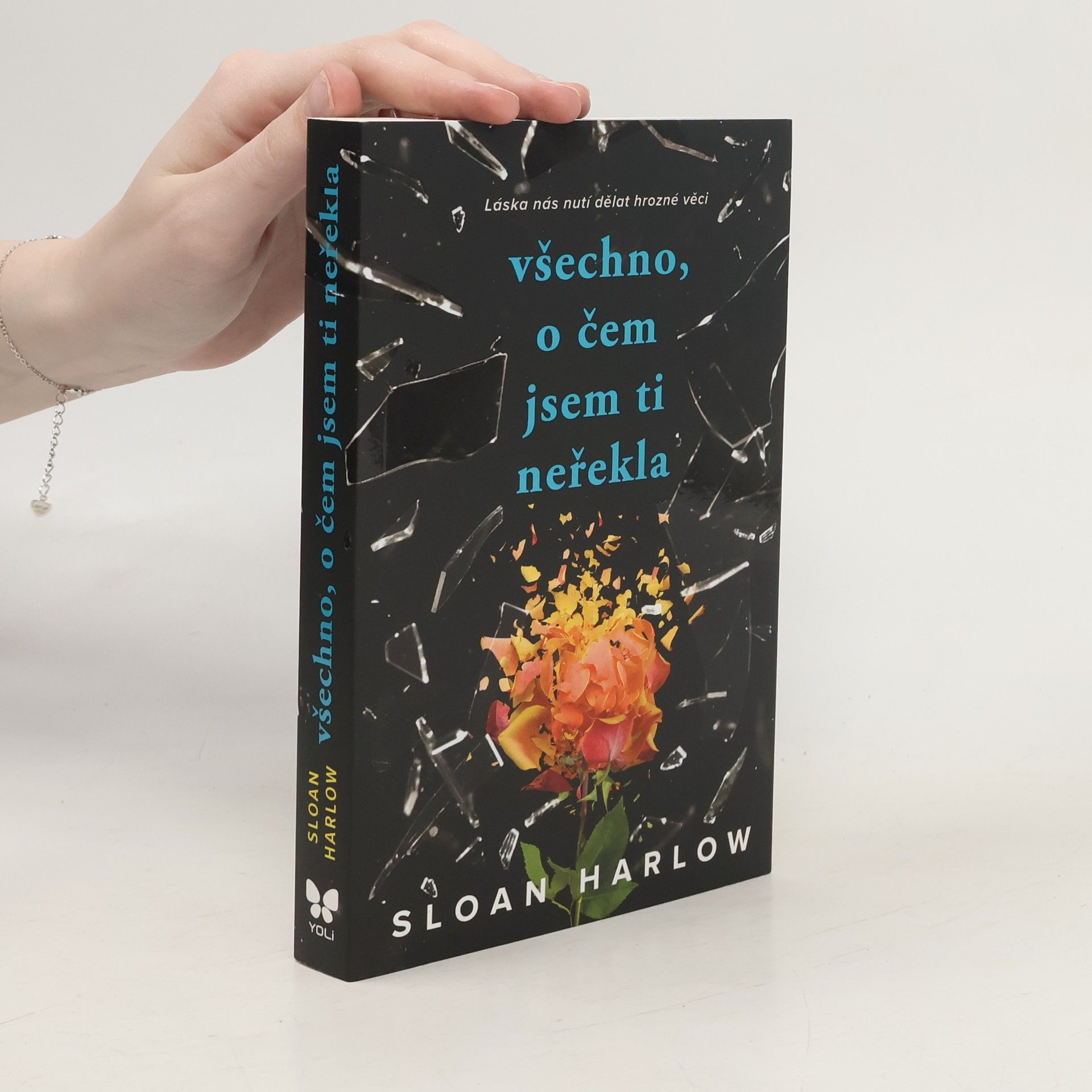 Sloan Harlow Všechno, o čem jsem ti neřekla