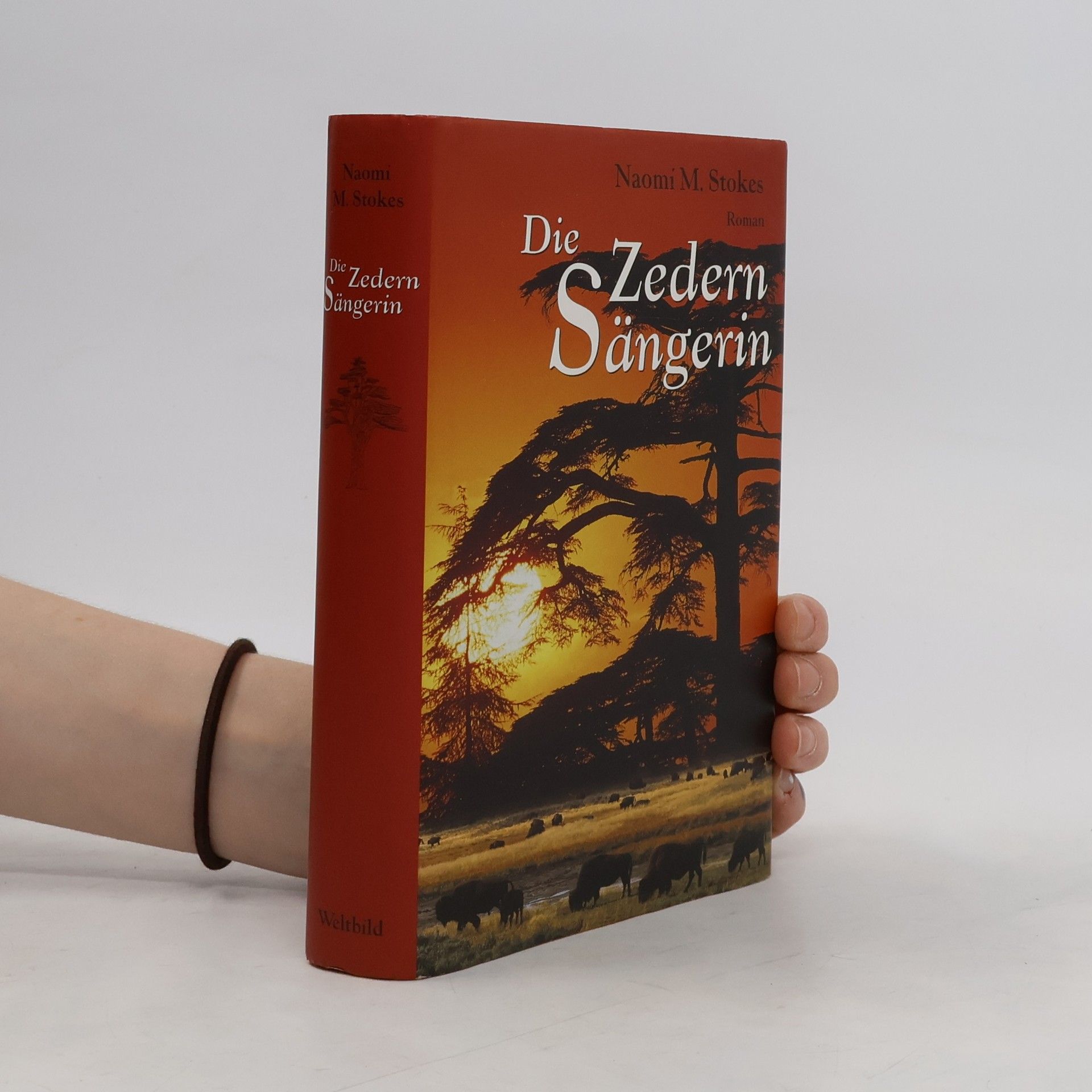 Naomi M. Stokes Die Zedernsängerin