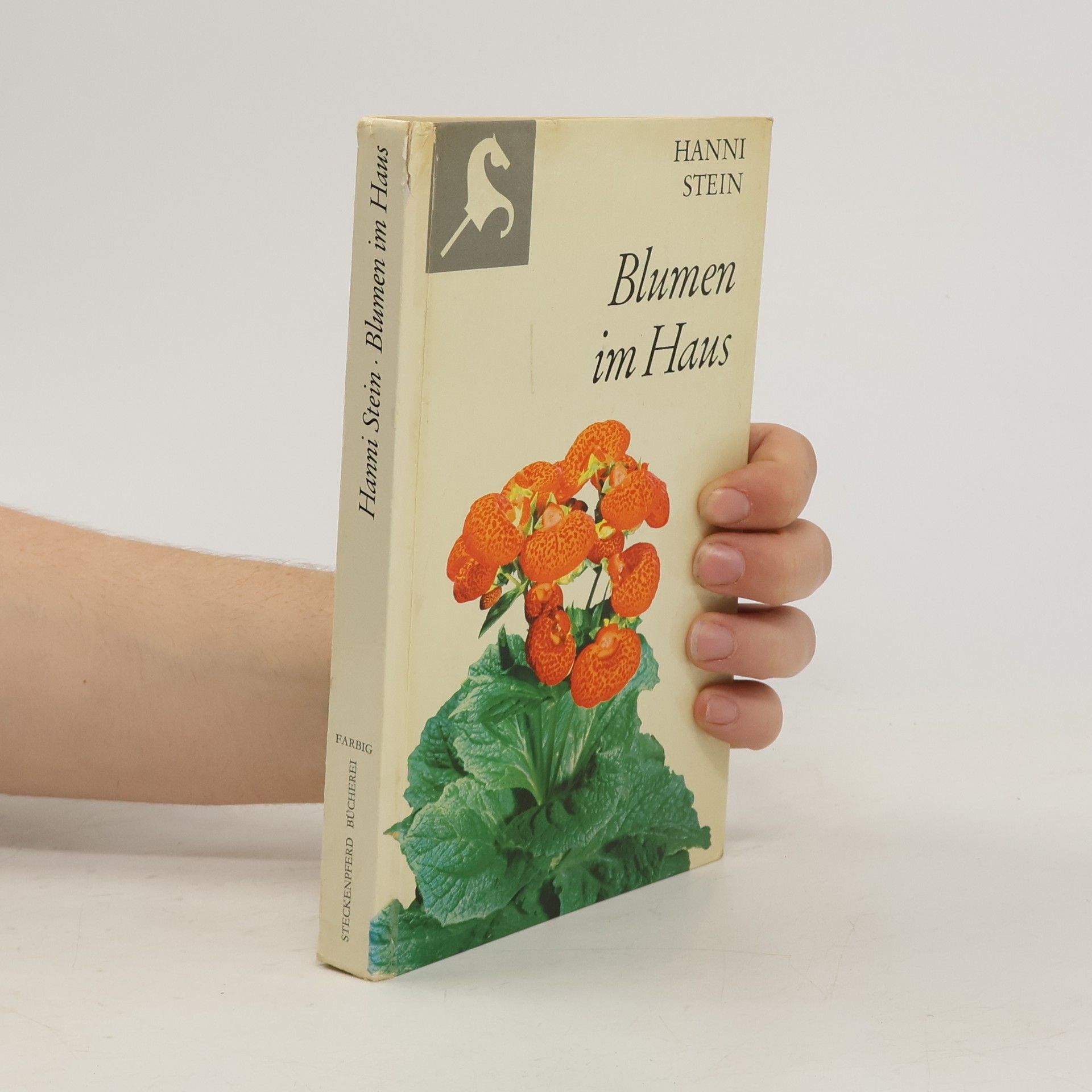 Hanni Stein Blumen im Haus