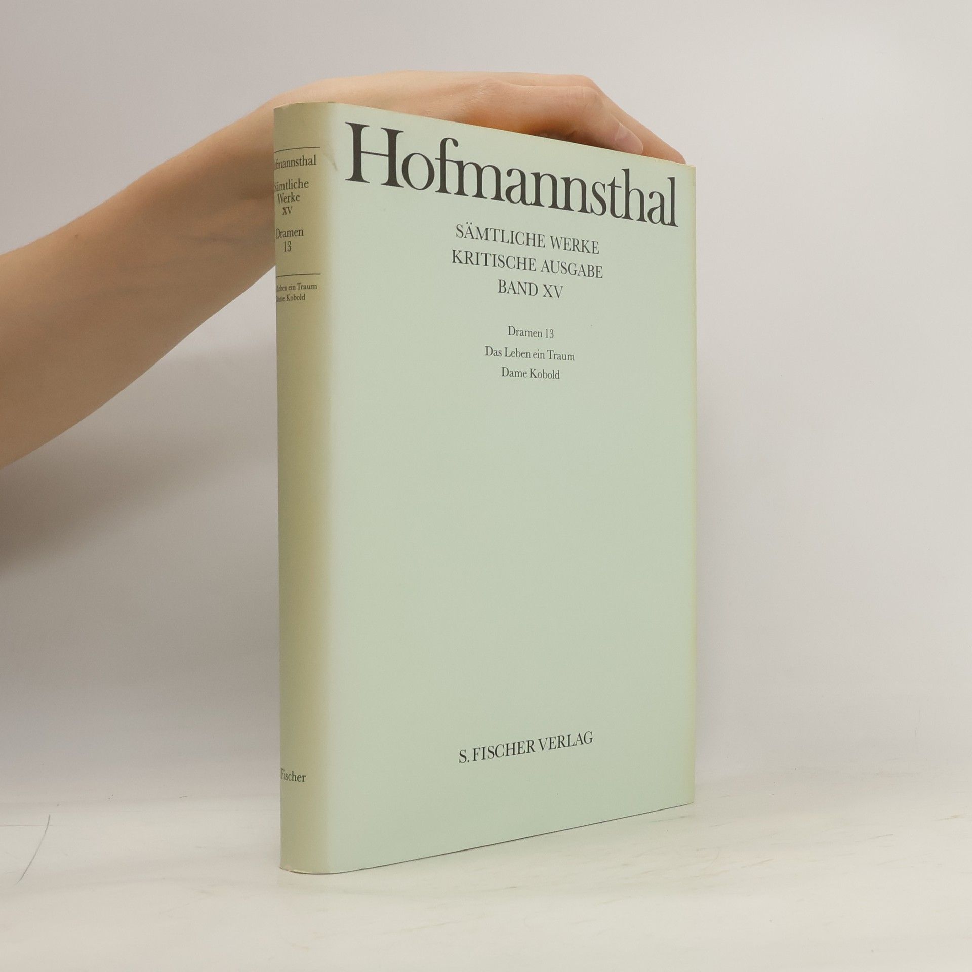 Hugo von Hofmannsthal Sämtliche Werke. XV, Dramen 13