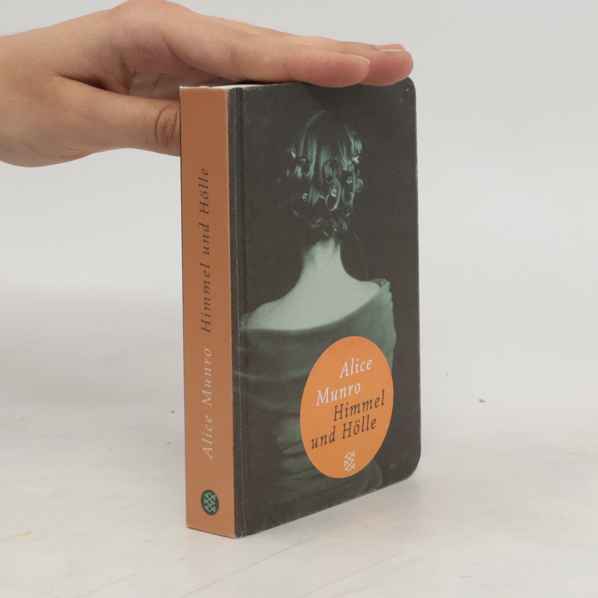 Alice Munro Himmel und Hölle