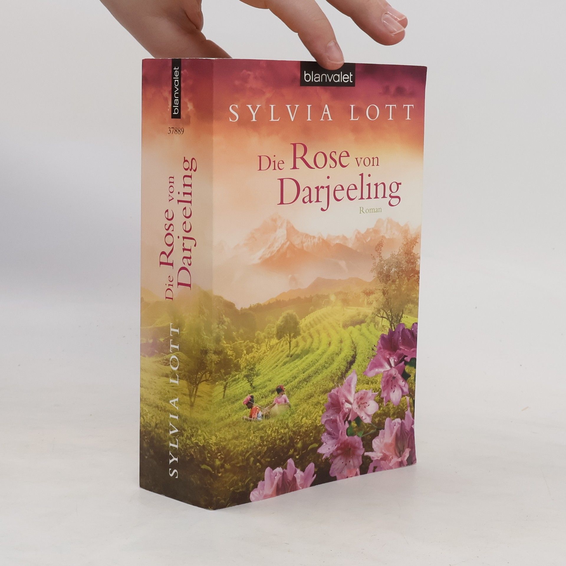 Sylvia Lott Die Rose von Darjeeling