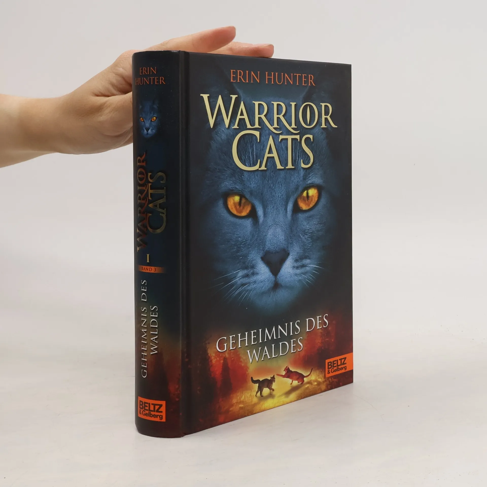 Warrior Cats. Geheimnis des Waldes. | Buch | Hardcover | Erin Hunter