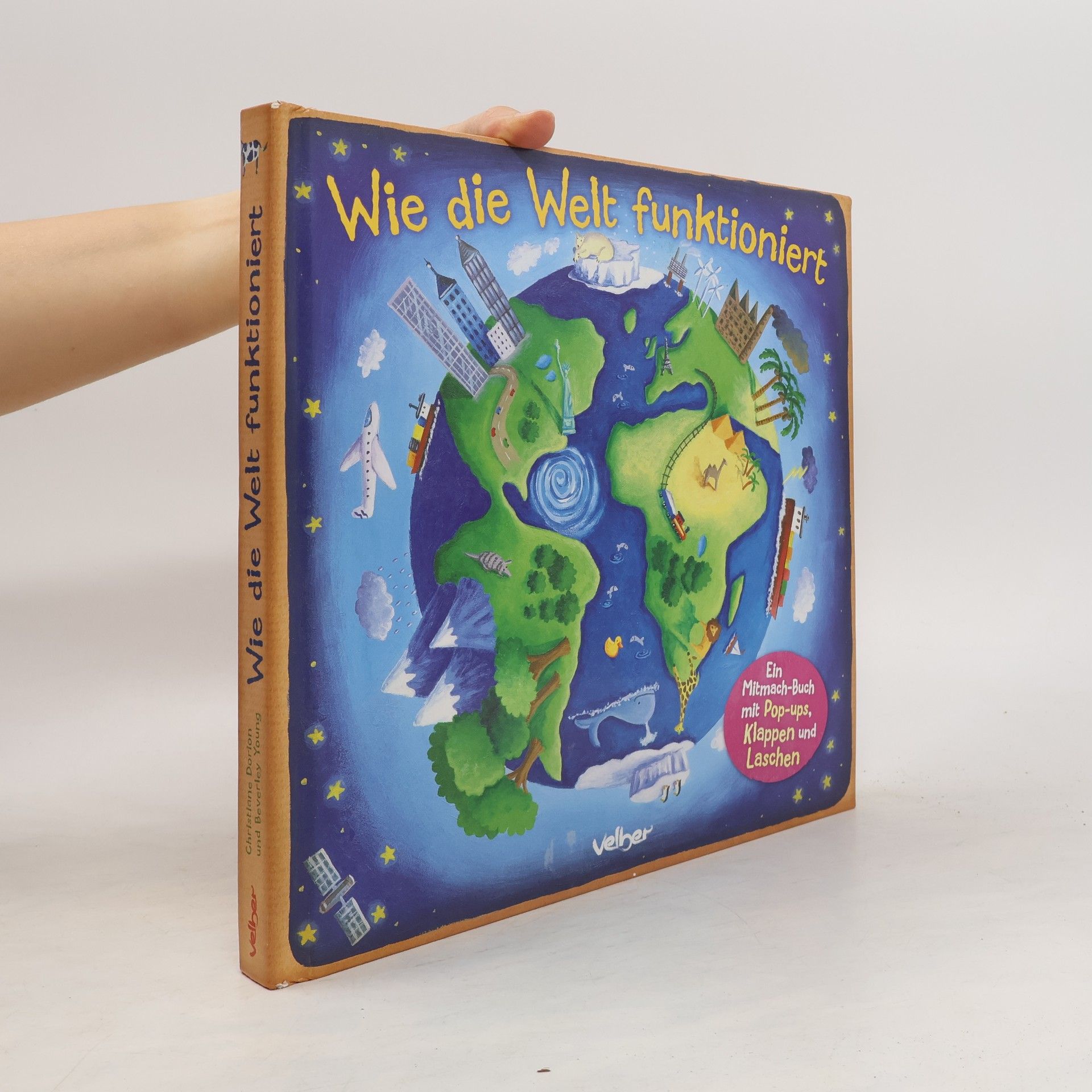 Christiane Dorion Wie die Welt funktioniert