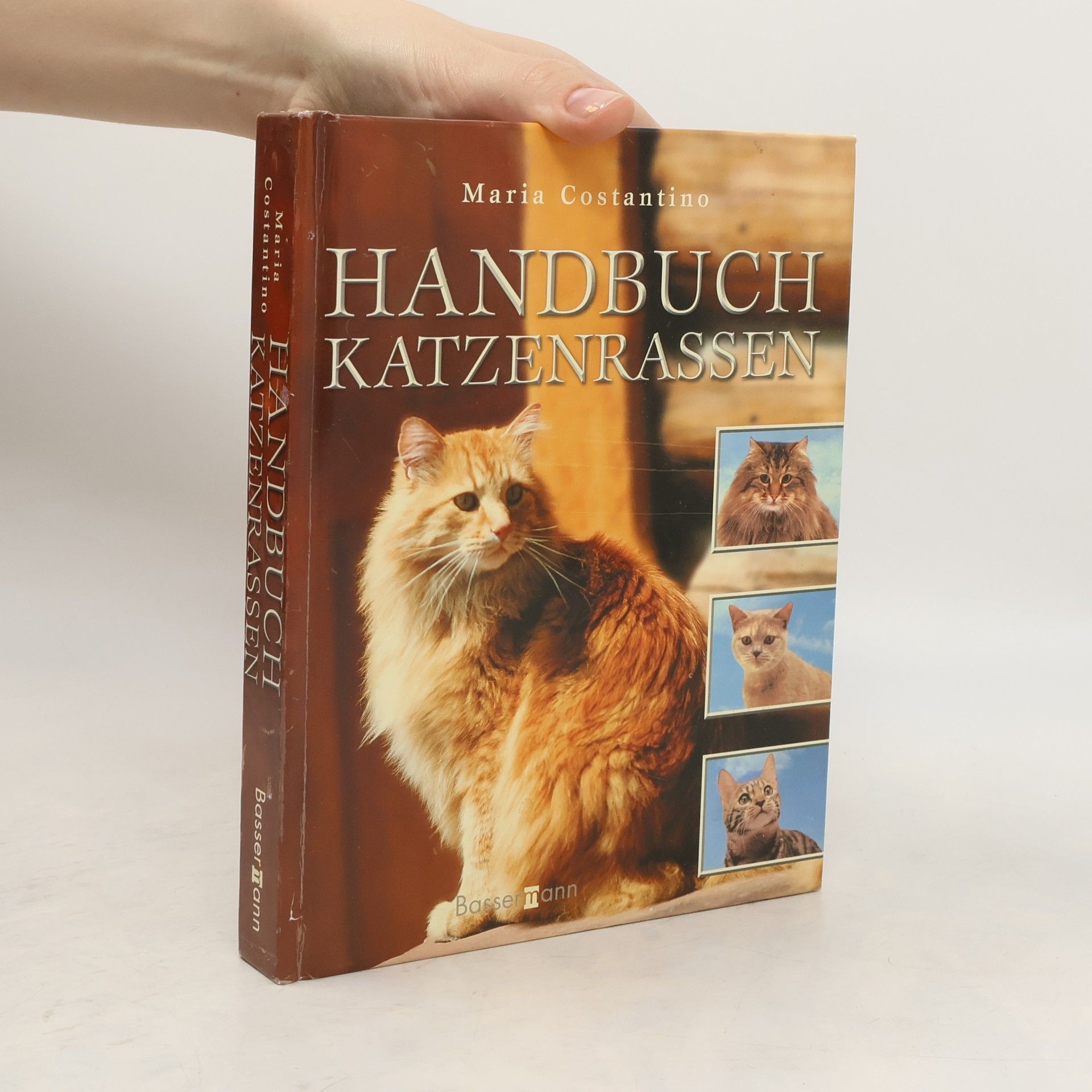 Maria Constantino Handbuch Katzenrassen