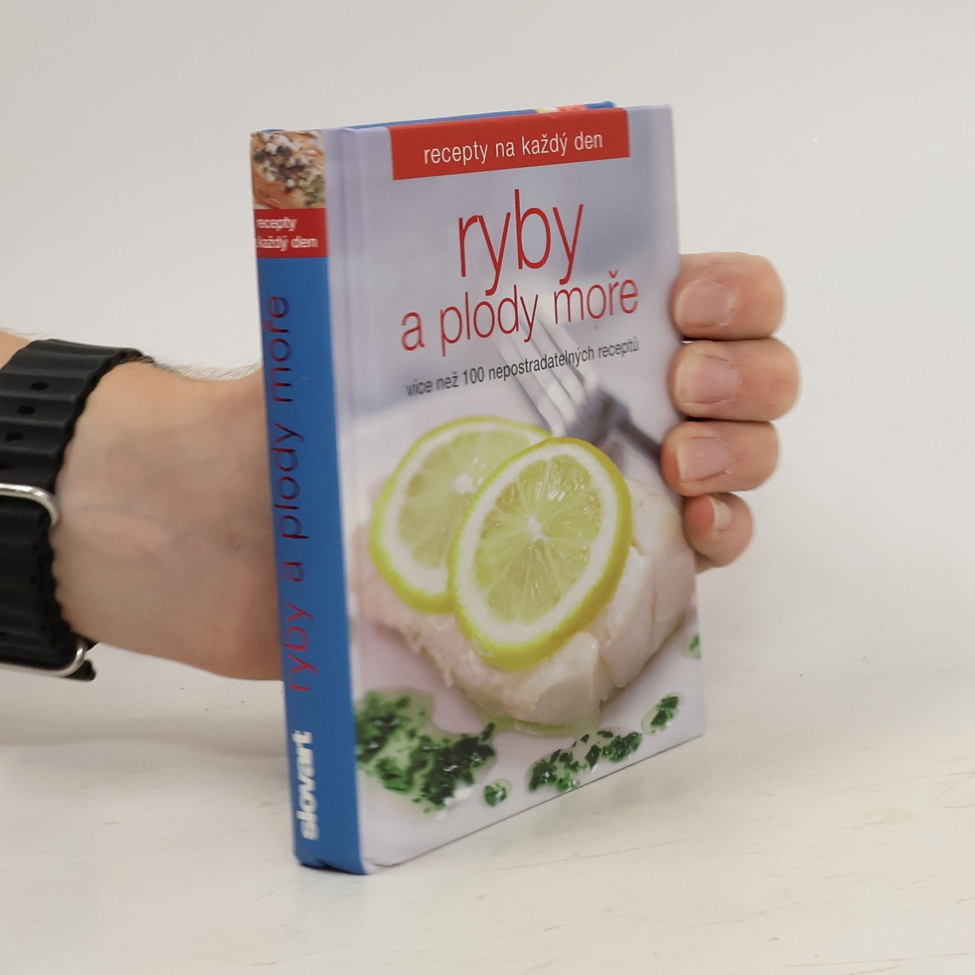 kolektiv Ryby a plody moře