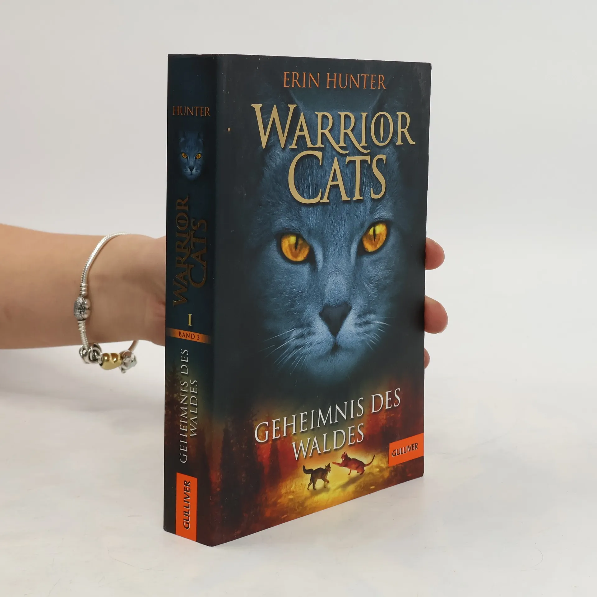 Warrior Cats. Geheimnis des Waldes | Buch | Erin Hunter