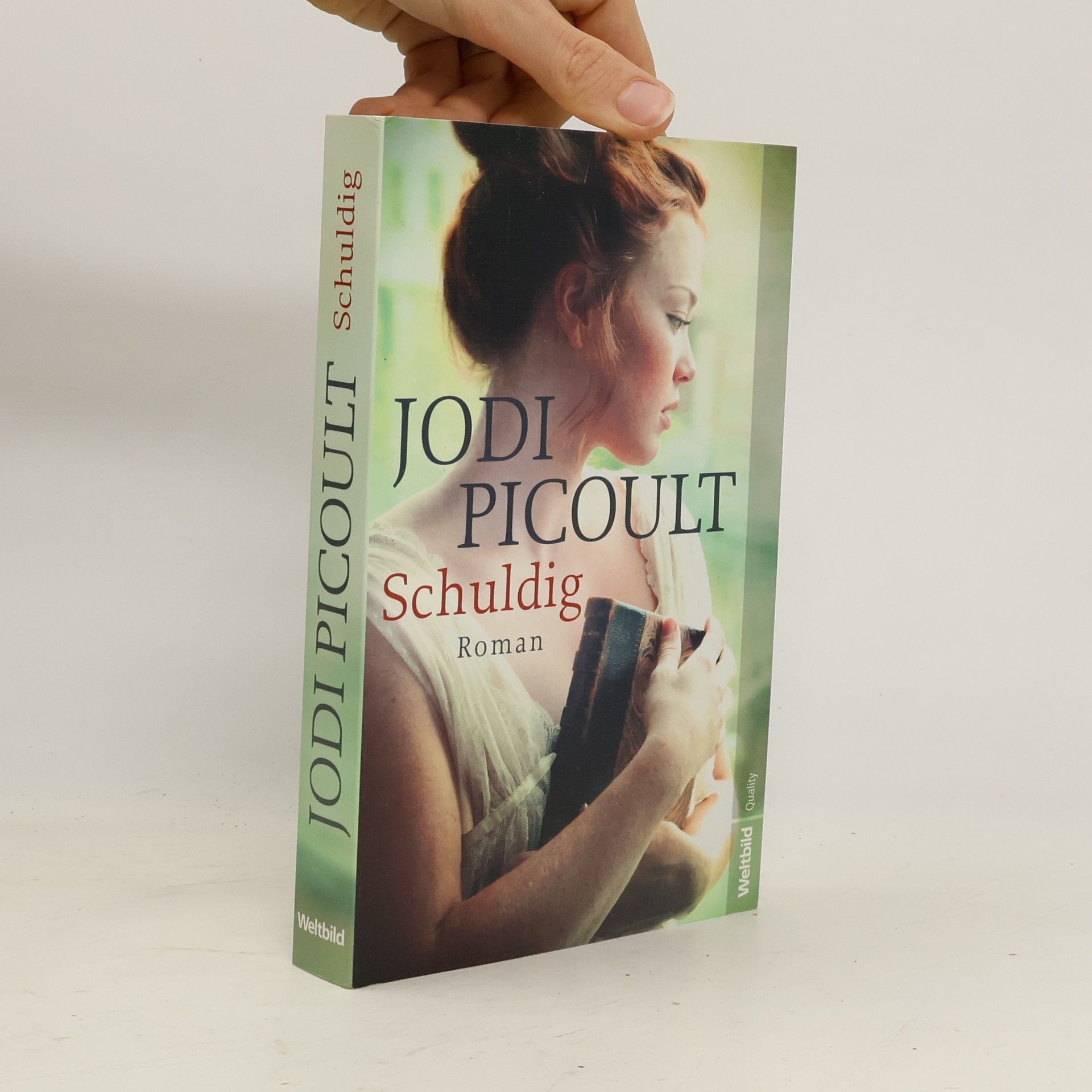 Jodi Picoult Schuldig