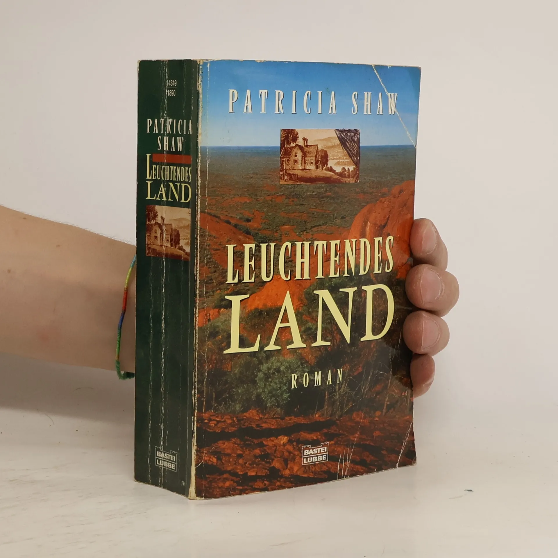 Leuchtendes Land | Buch | Patricia Shaw