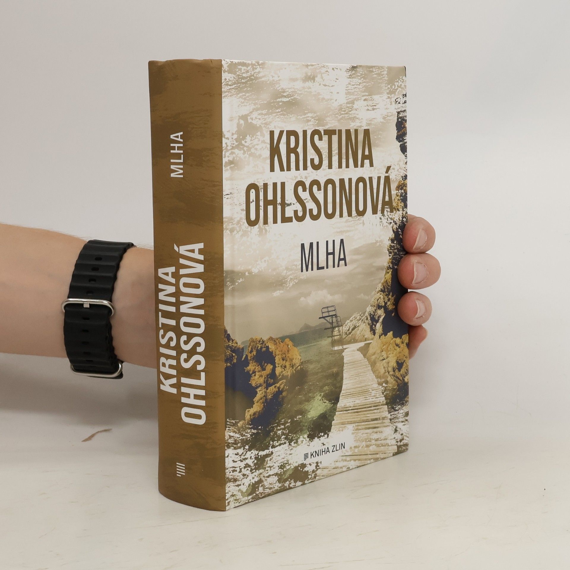 Kristina Ohlsson Mlha