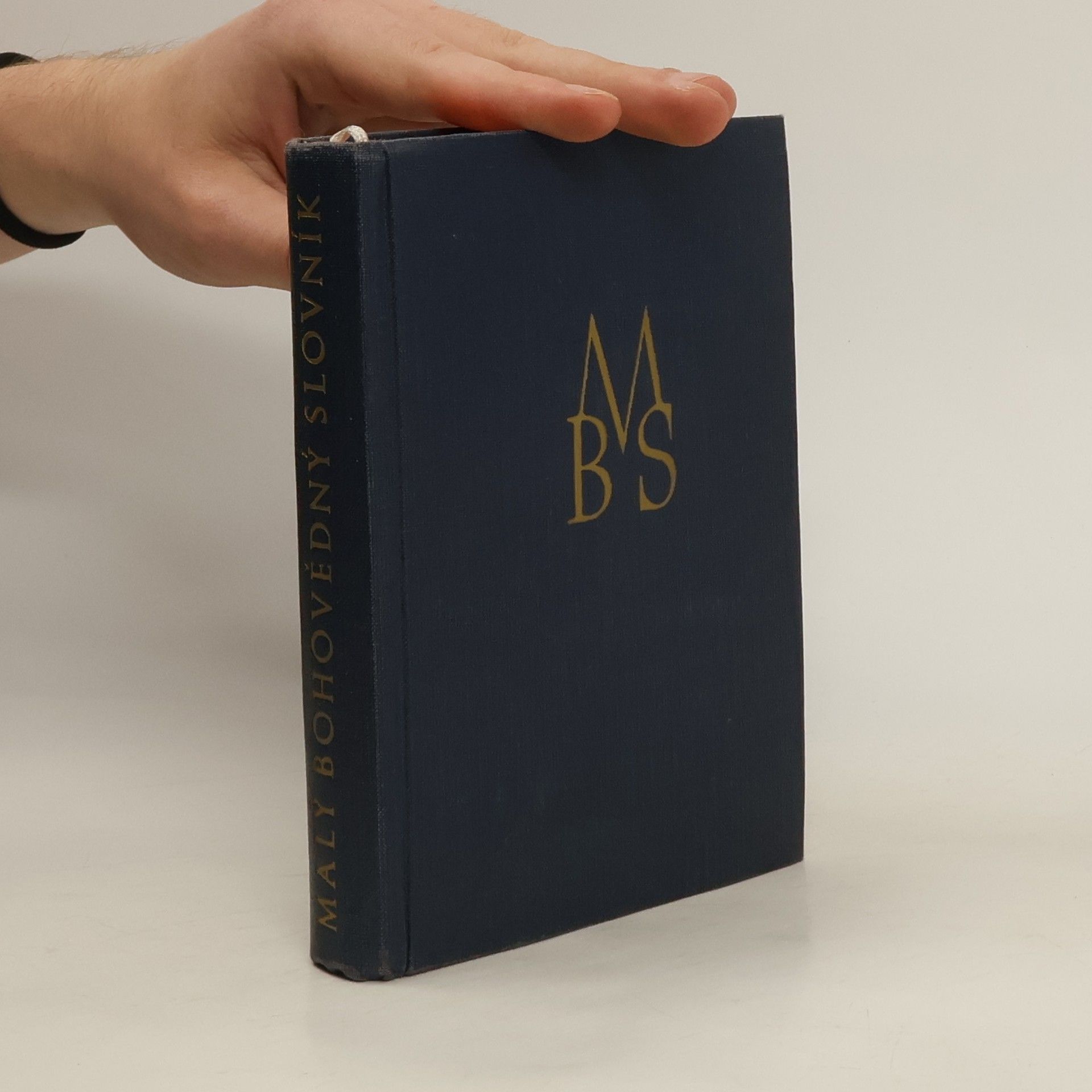 Collectif d'auteurs Malý bohovědný slovník