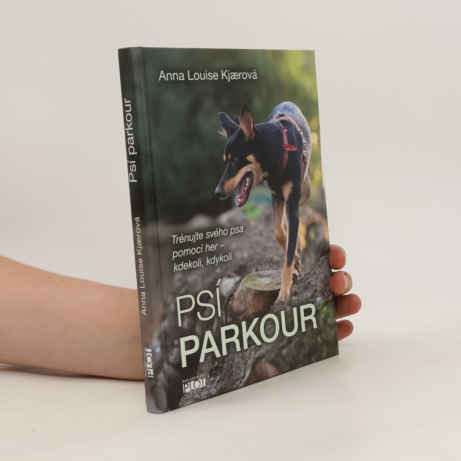 Anna Louise Kjær Psí parkour