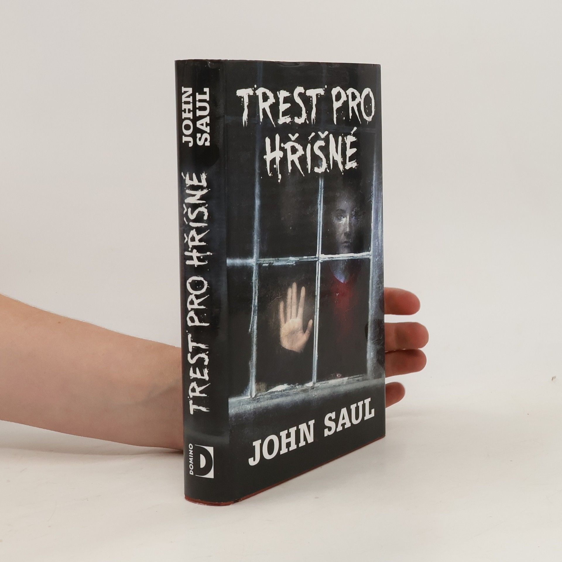 John Saul Trest pro hříšné