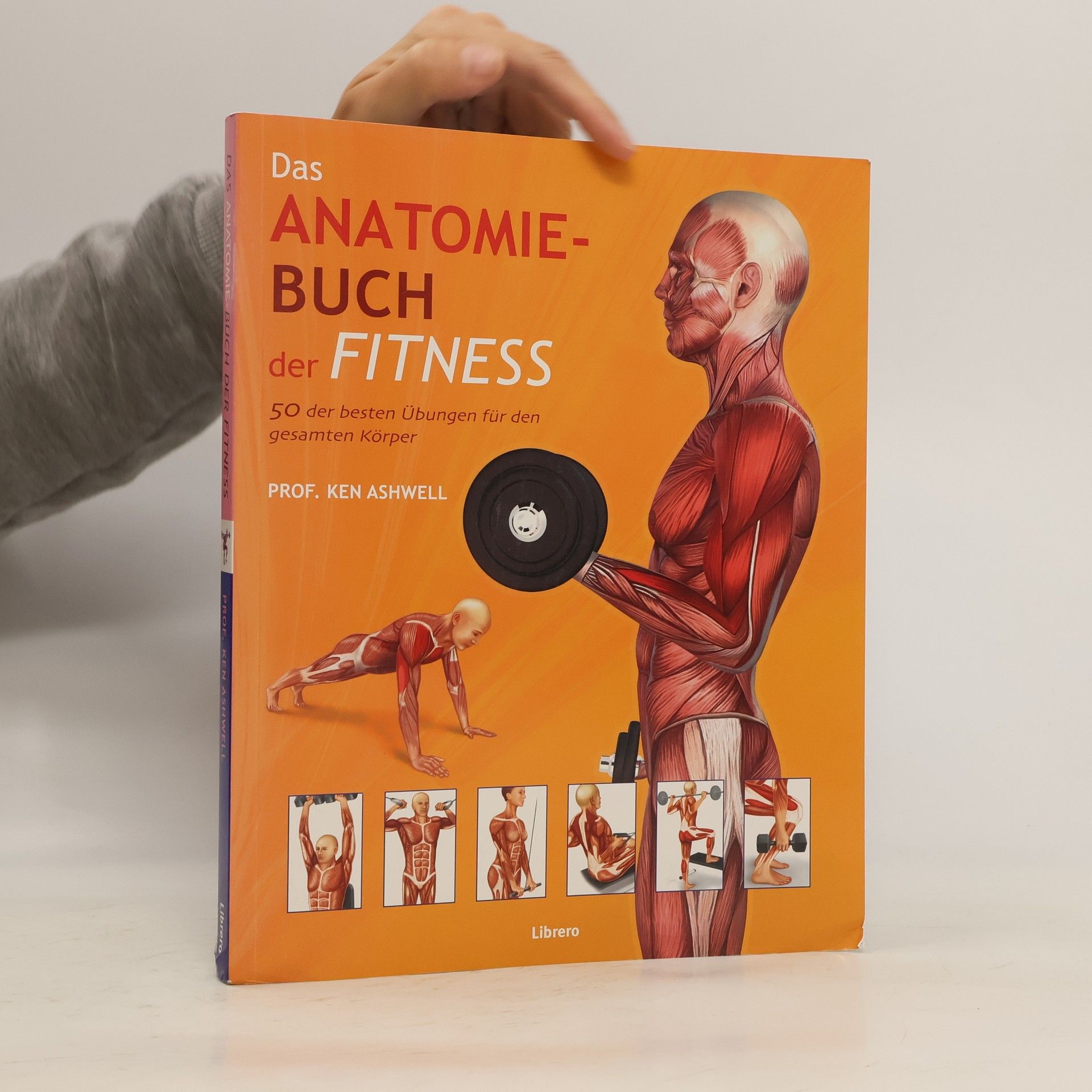 Ken Ashwell Das Anatomie-Buch der Fitness