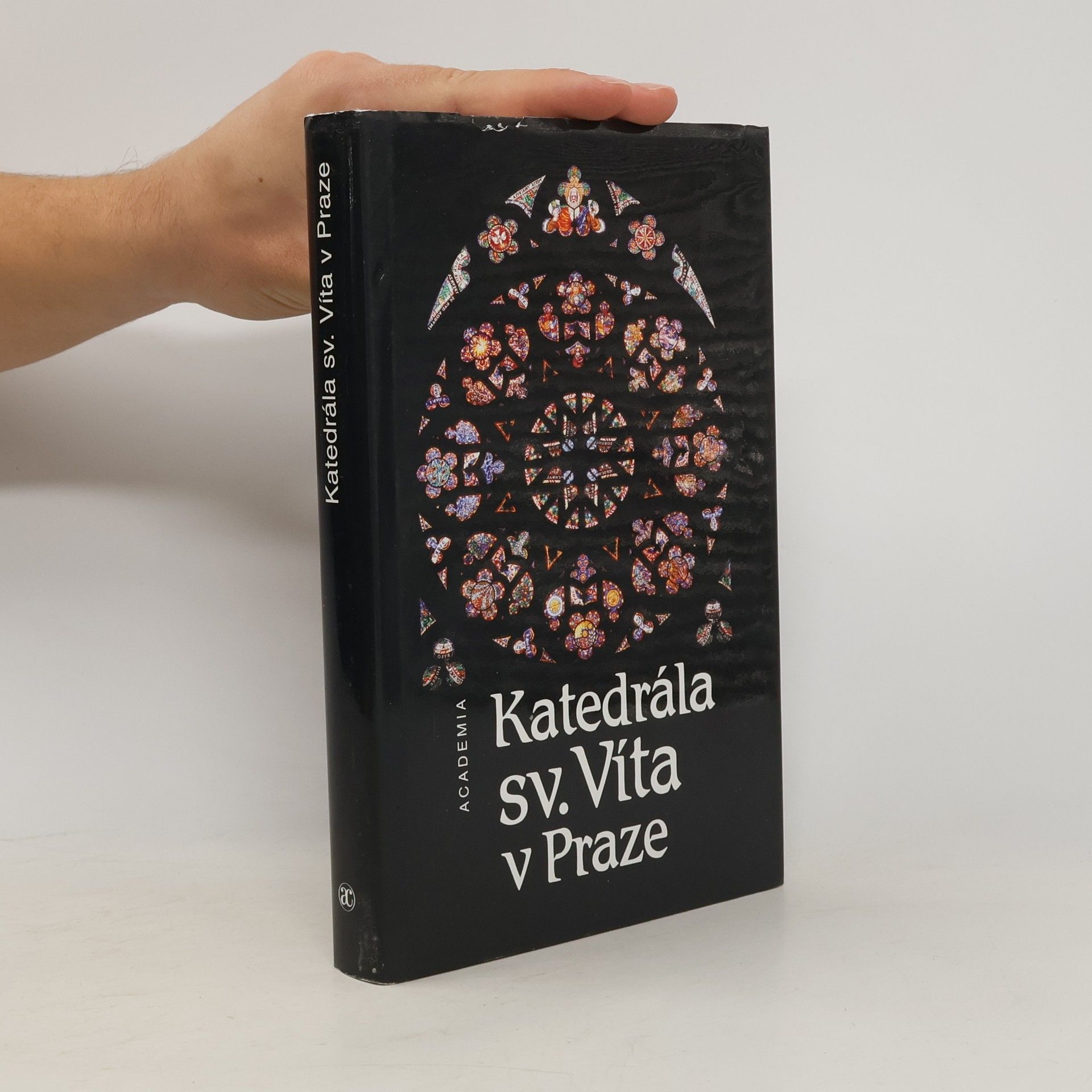 Prokop Paul Katedrála sv. Víta v Praze. K 650. výročí založení