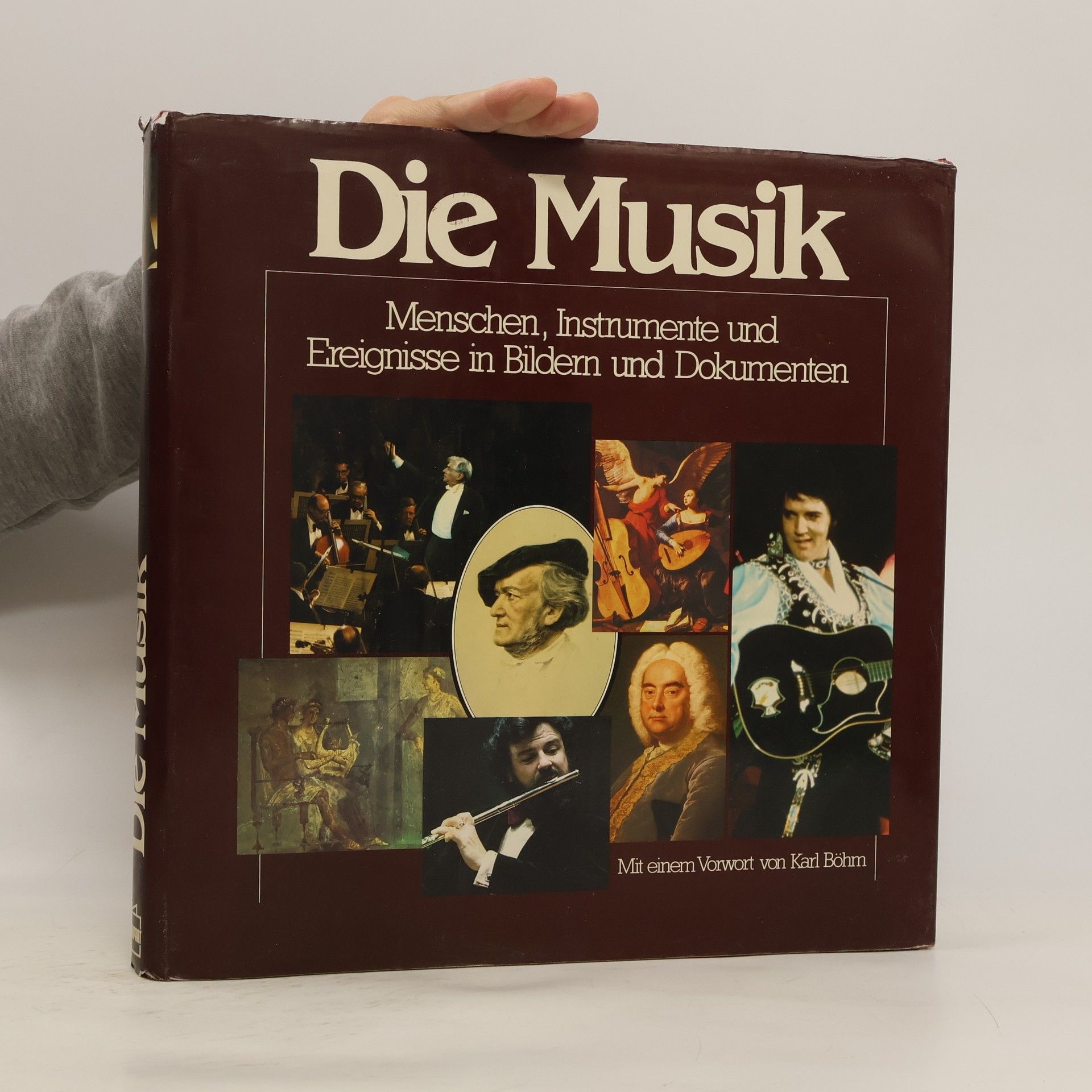 Victor Stevenson Die Musik. Menschen, Instrumente und Ereignisse in Bildern und Dokumenten