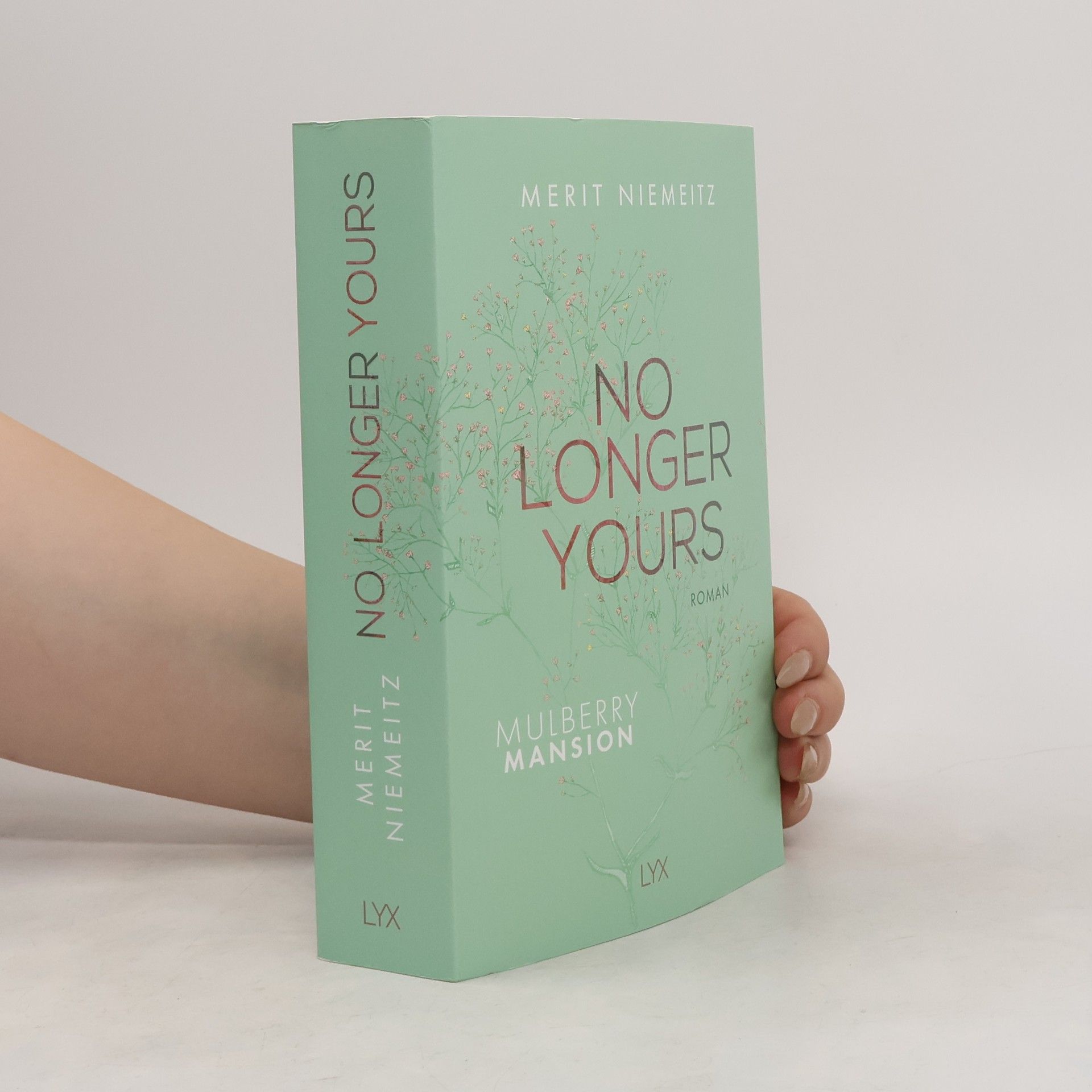Merit Niemeitz No Longer Yours