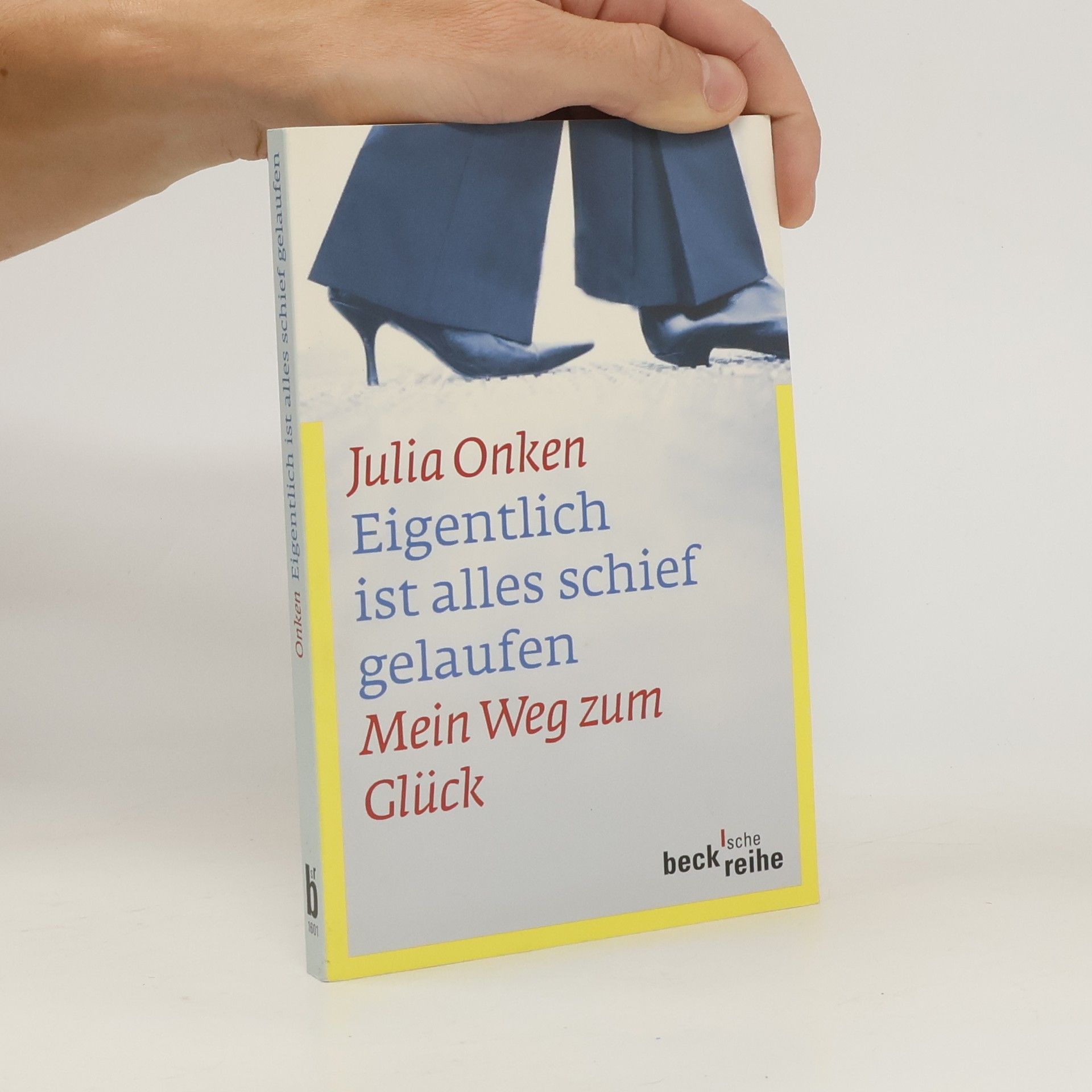 Julia Onken Eigentlich ist alles schief gelaufen