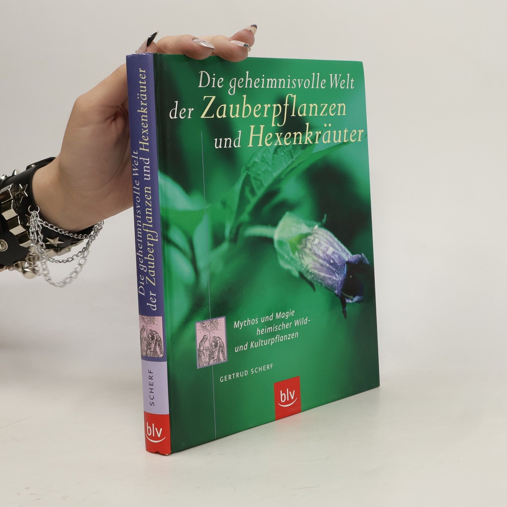 Gertrud Scherf Die geheimnisvolle Welt der Zauberpflanzen und Hexenkräuter