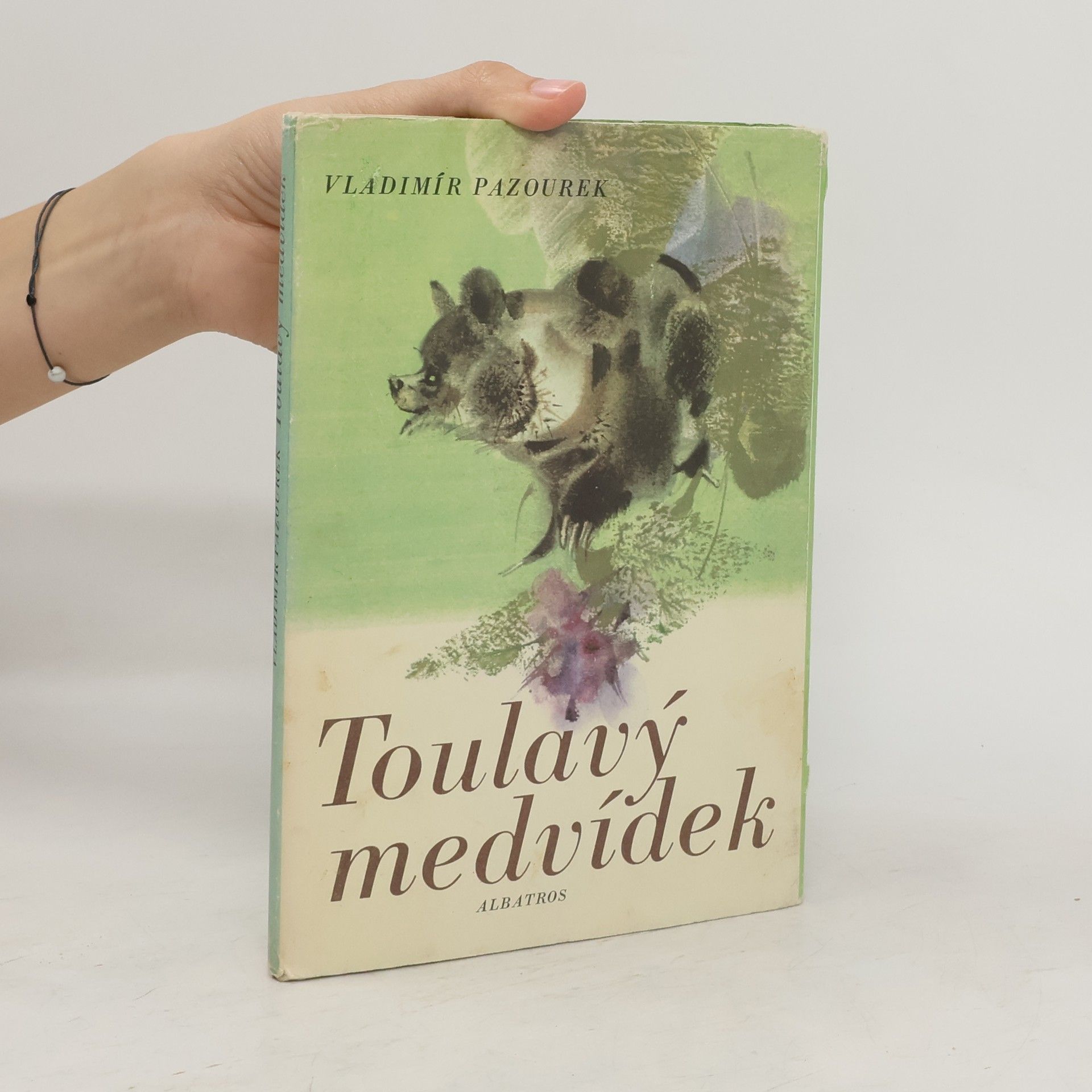 Vladimír Pazourek Toulavý medvídek