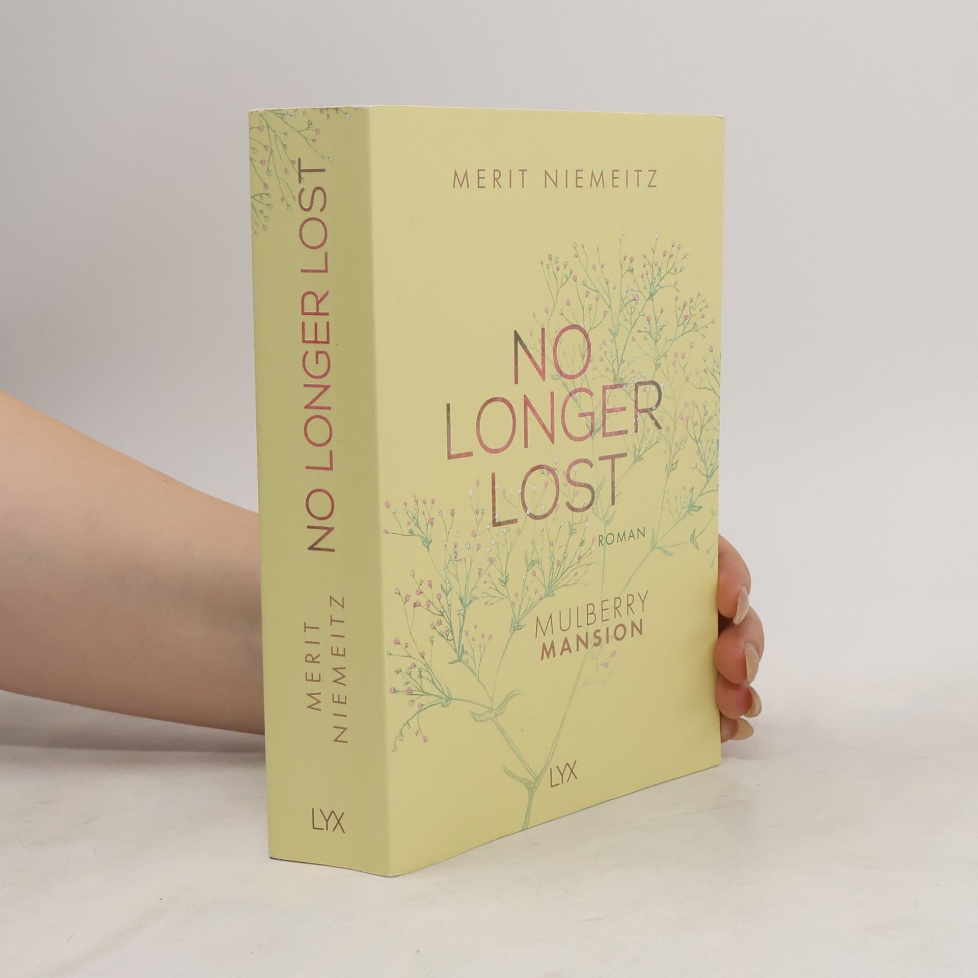 Merit Niemeitz No Longer Lost