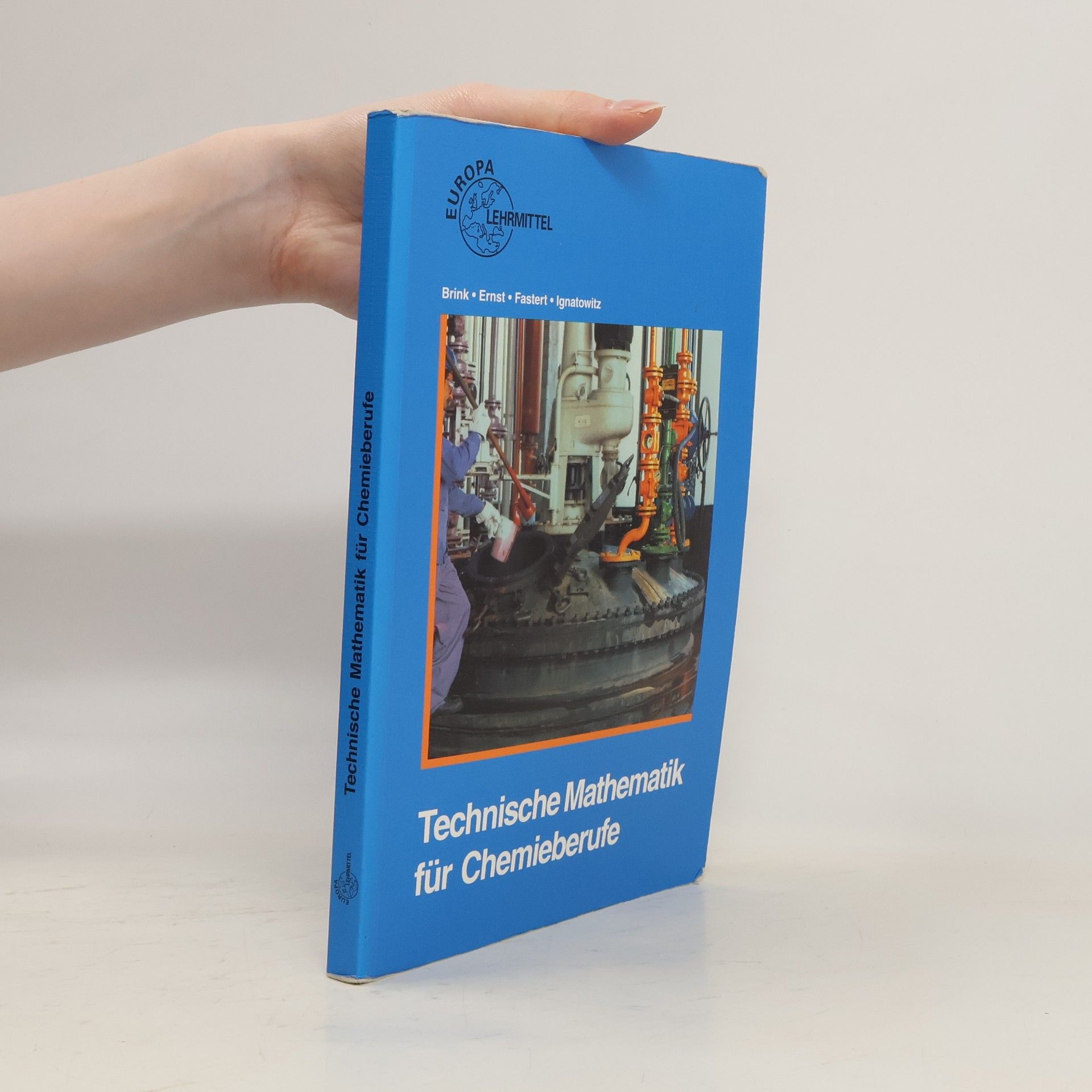 Collectif d'auteurs Technische Mathematik für Chemieberufe