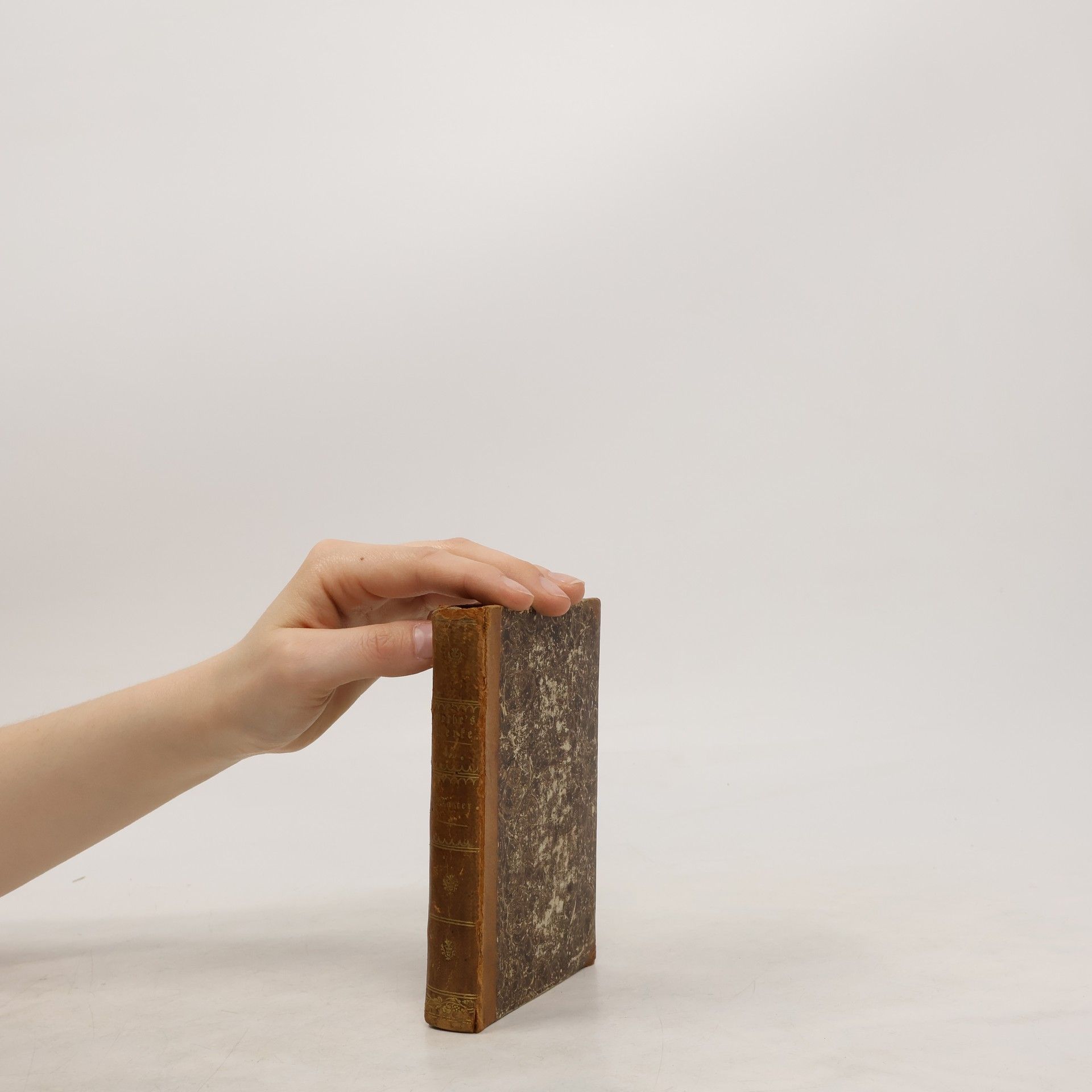 Johann Wolfgang von Goethe Goethes Werke Band 15