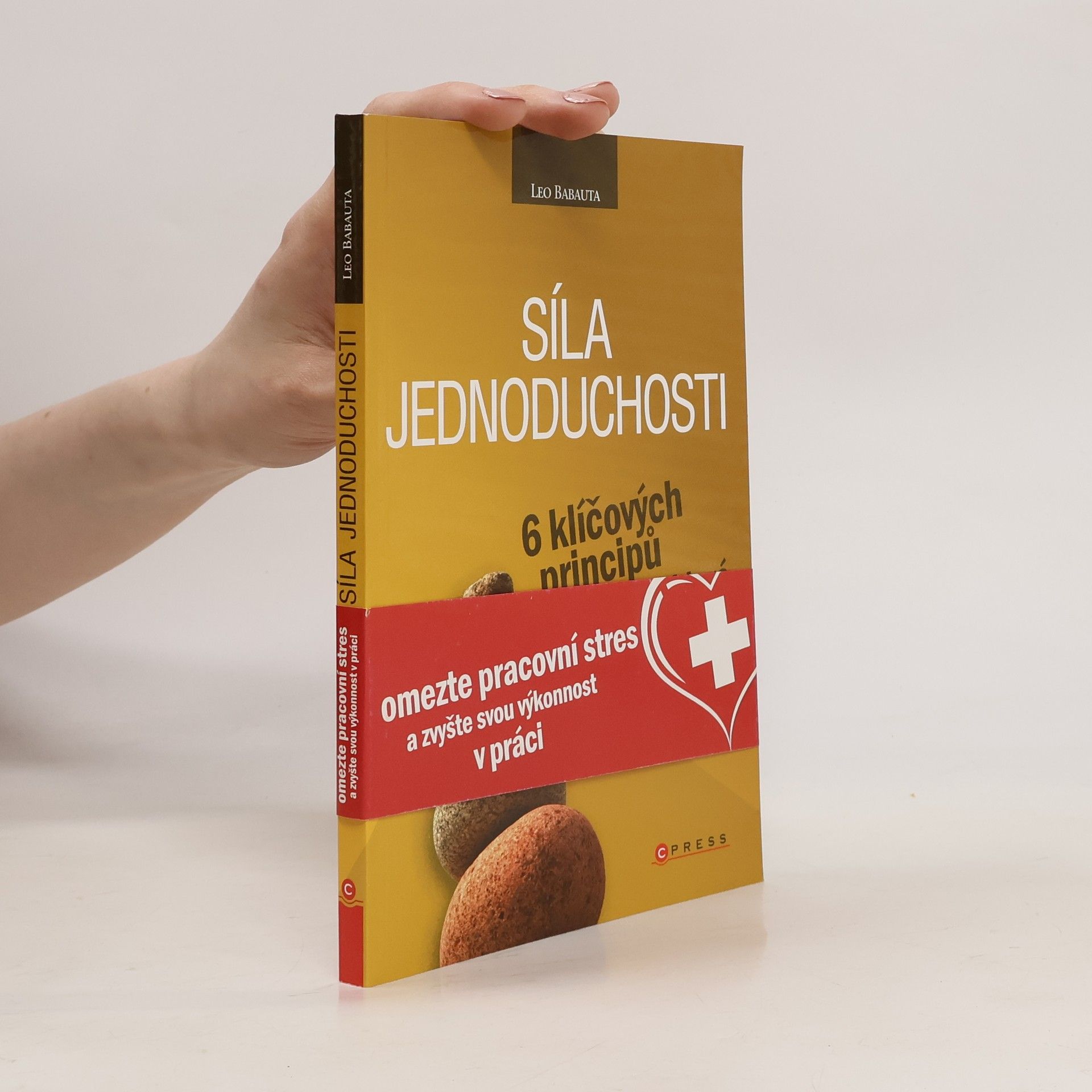 Leo Babauta Síla jednoduchosti. 6 klíčových principů efektivity, které změní váš život