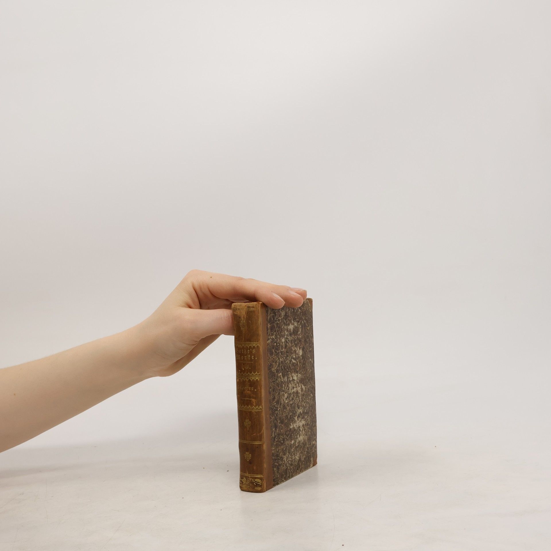 Johann Wolfgang von Goethe Goethe's Werke. Band 10