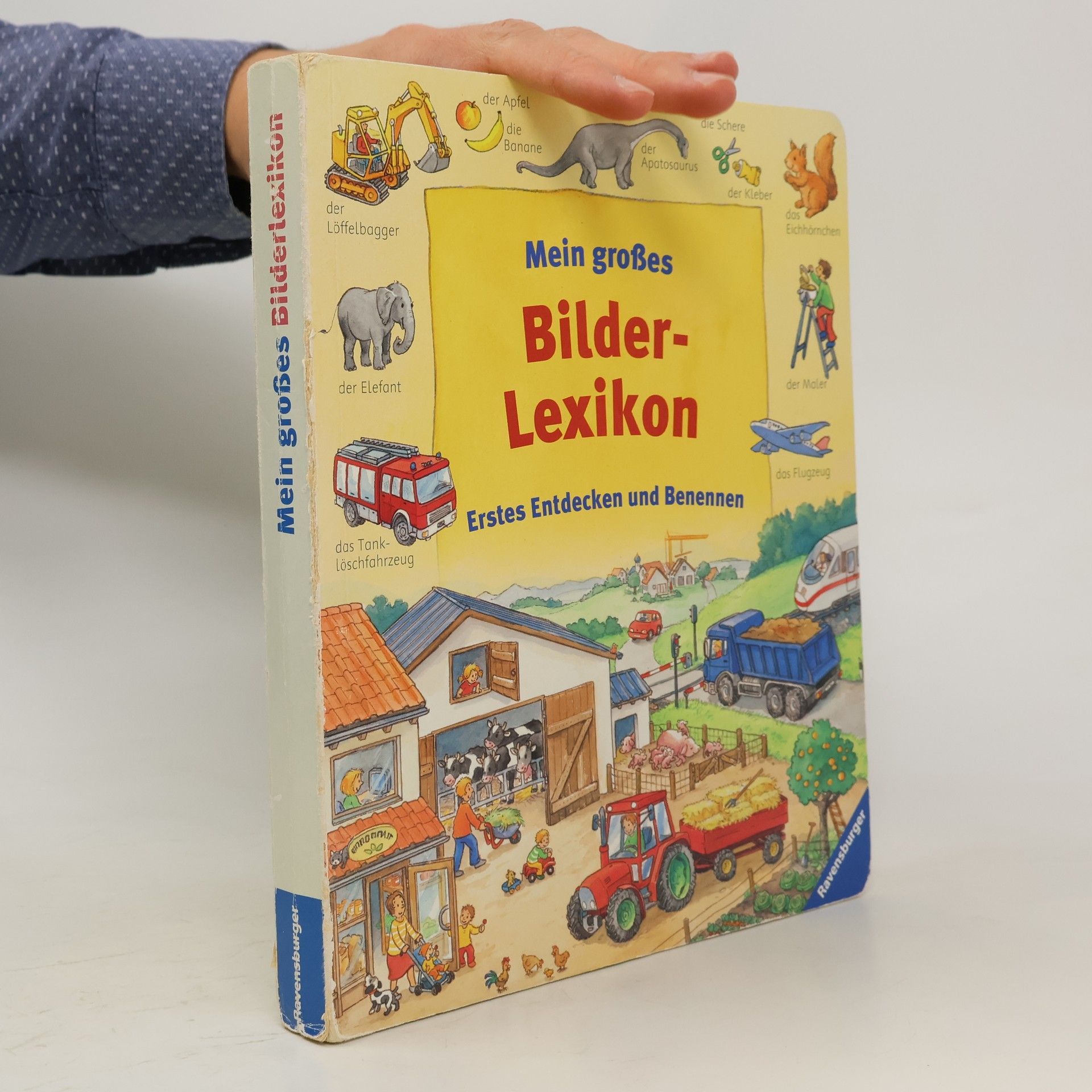 Katja Senner Mein großes Bilder-Lexikon