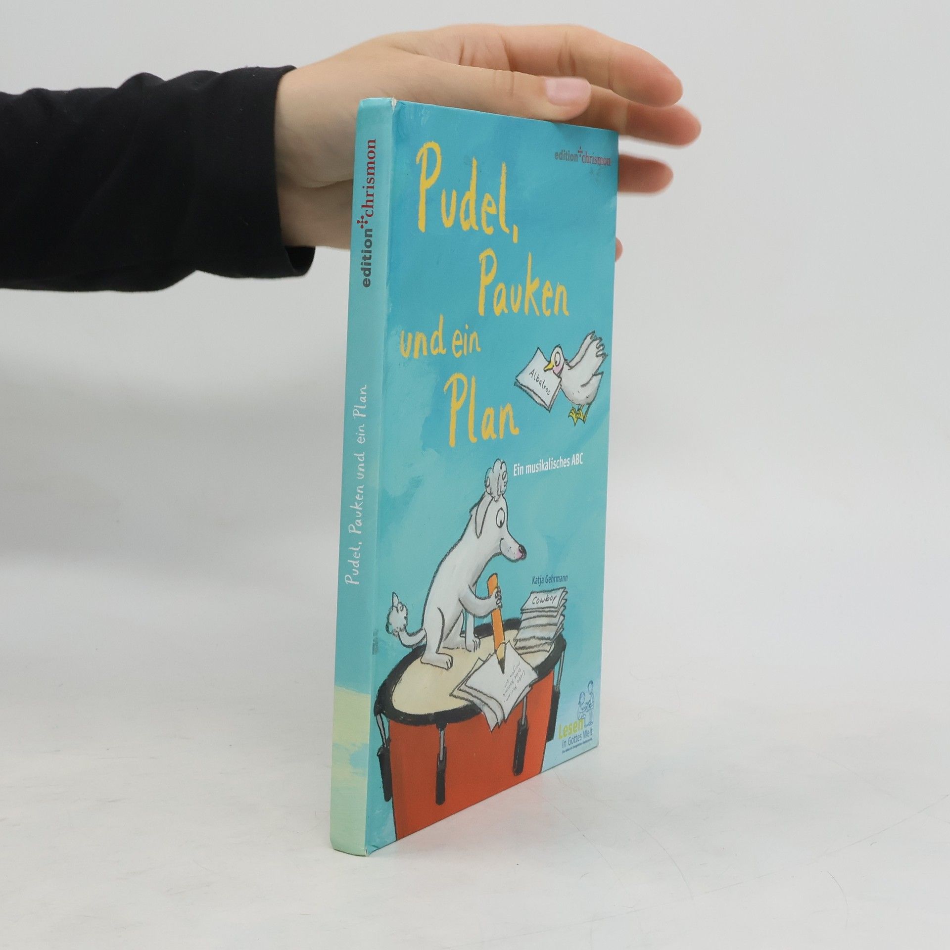 Katja Gehrmann Pudel, Pauken und ein Plan