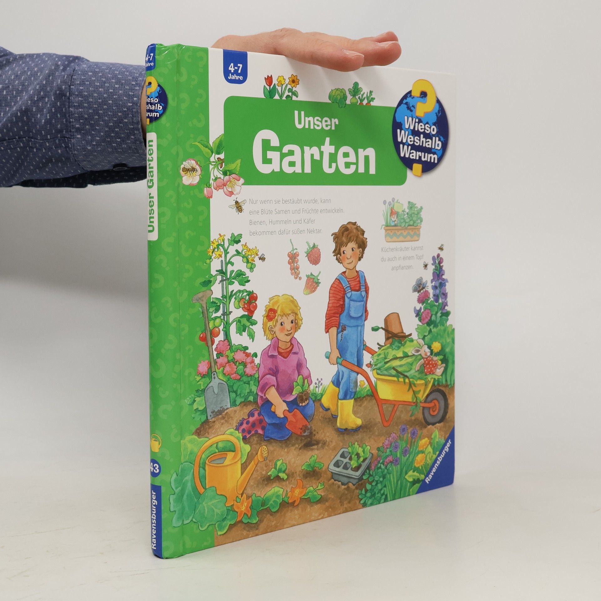 Andrea Erne Unser Garten