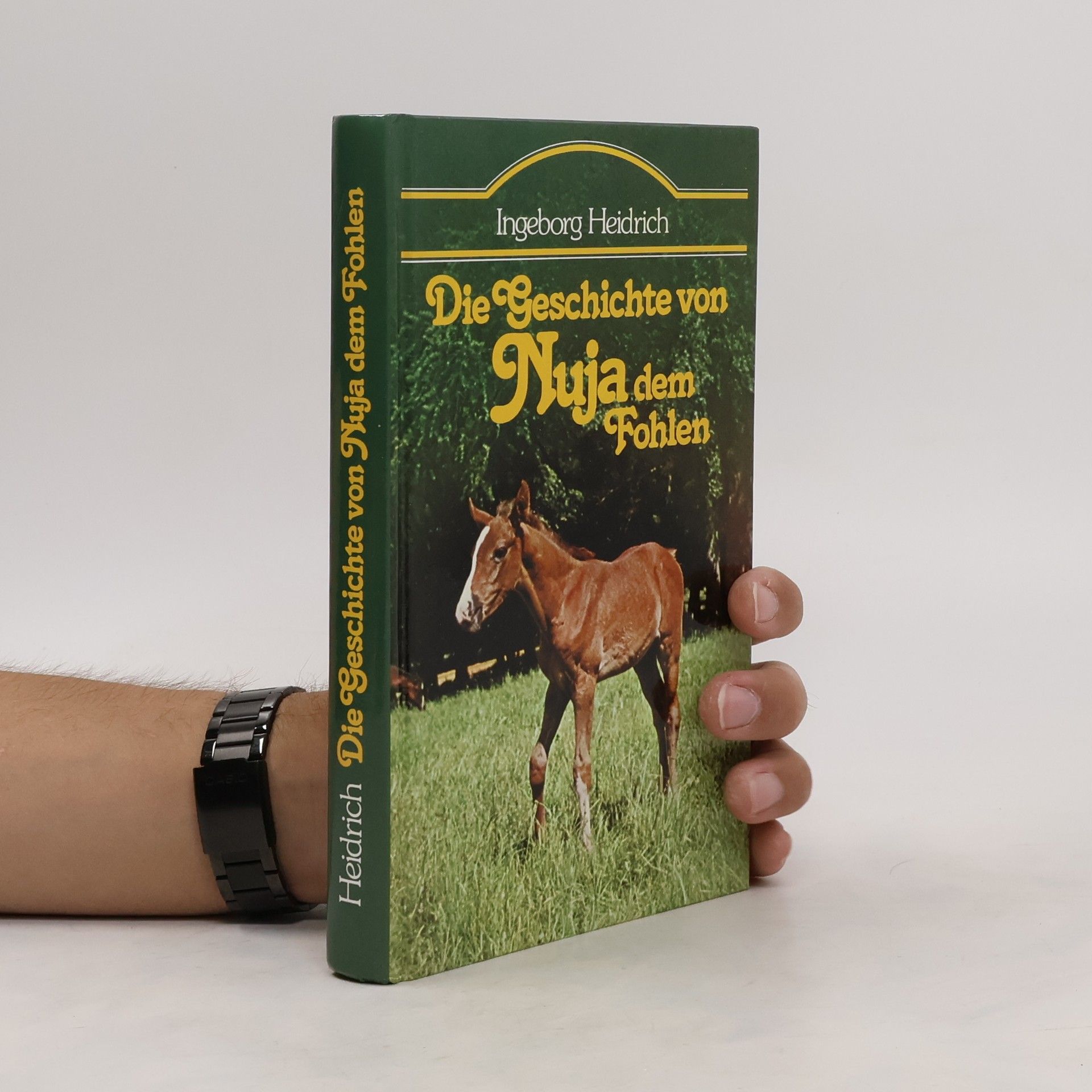 Ingeborg Heidrich Die Geschichte von Nuja dem Fohlen