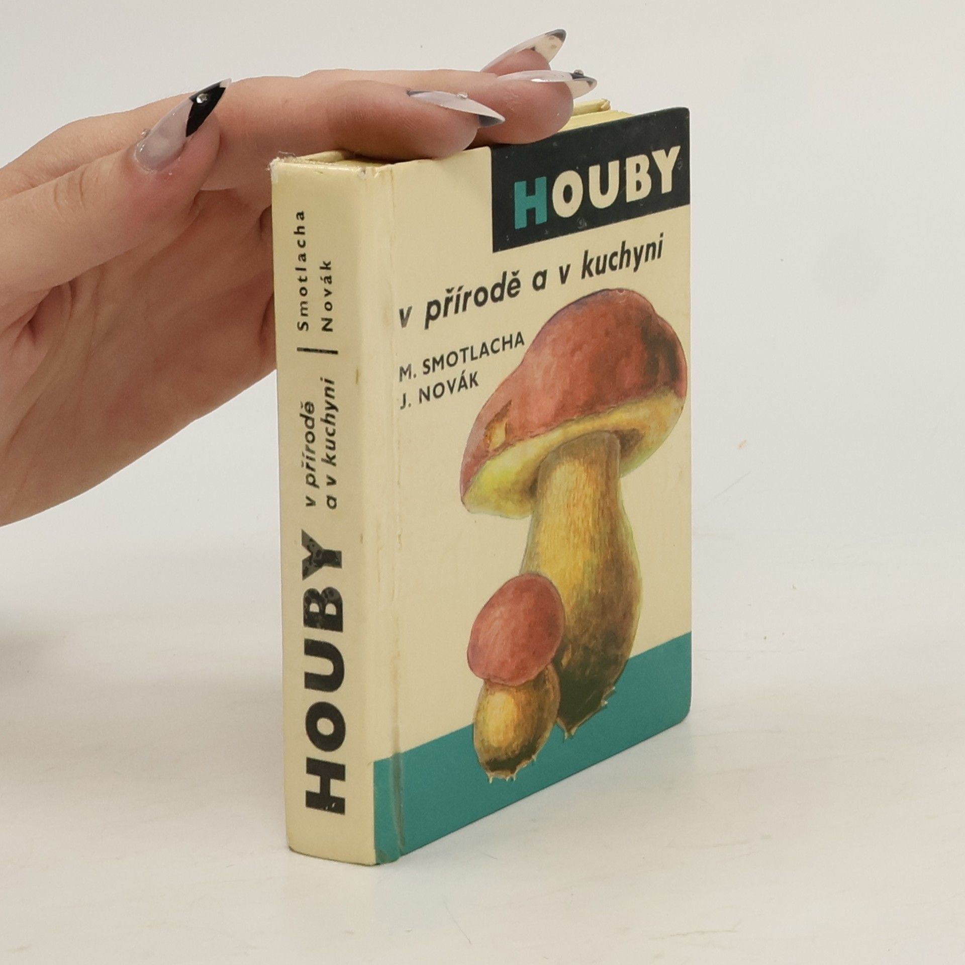 Miroslav Smotlacha Houby v přírodě a v kuchyni