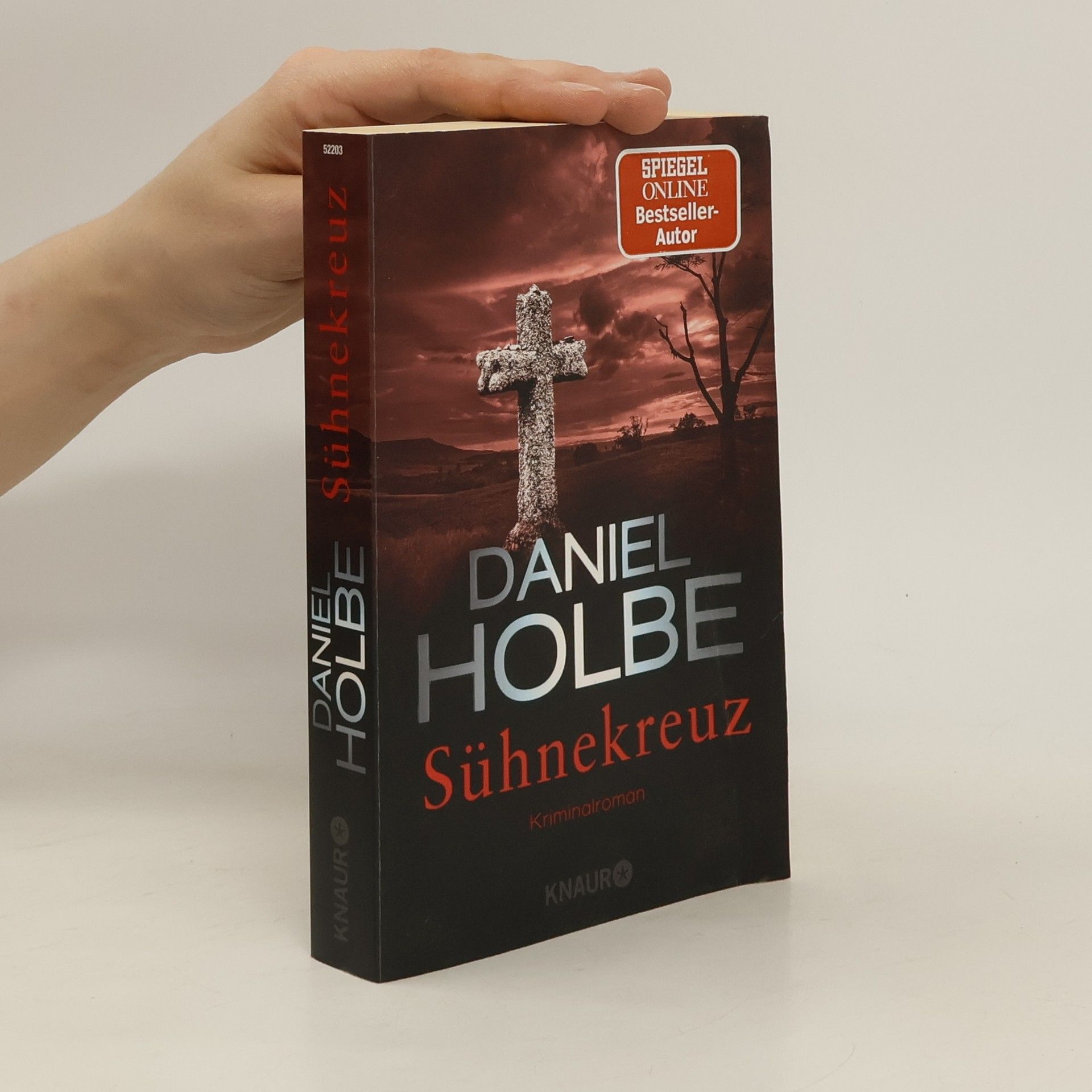 Daniel Holbe Sühnekreuz