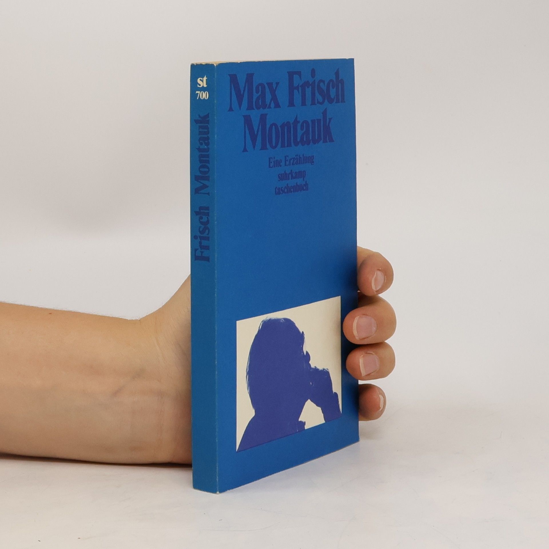 Max Frisch Montauk : eine Erzählung
