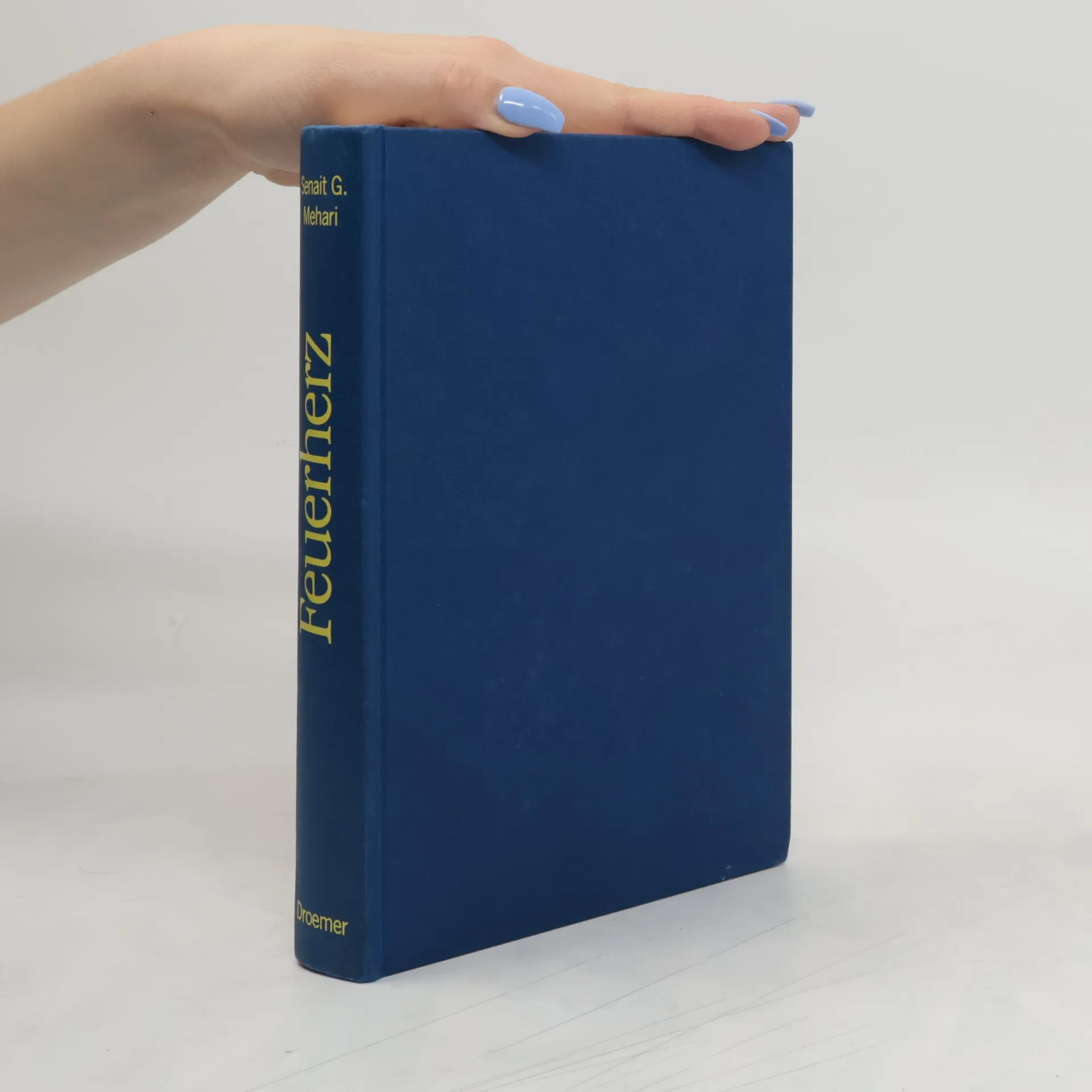 Feuerherz | Boek | Senait G. Mehari | DE