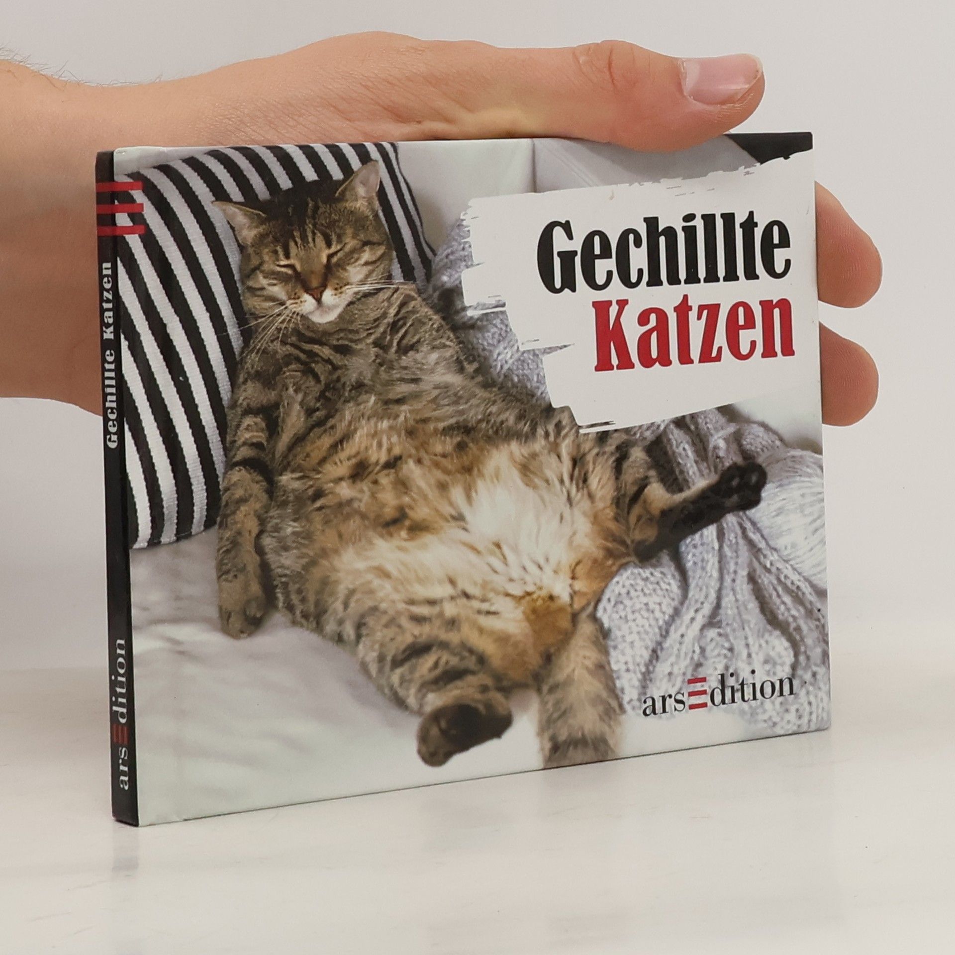 Paulus Vennebusch Gechillte Katzen